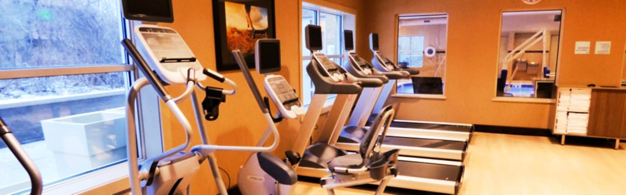 Holiday Inn Express & Suites Plymouth Ann Arbor Area