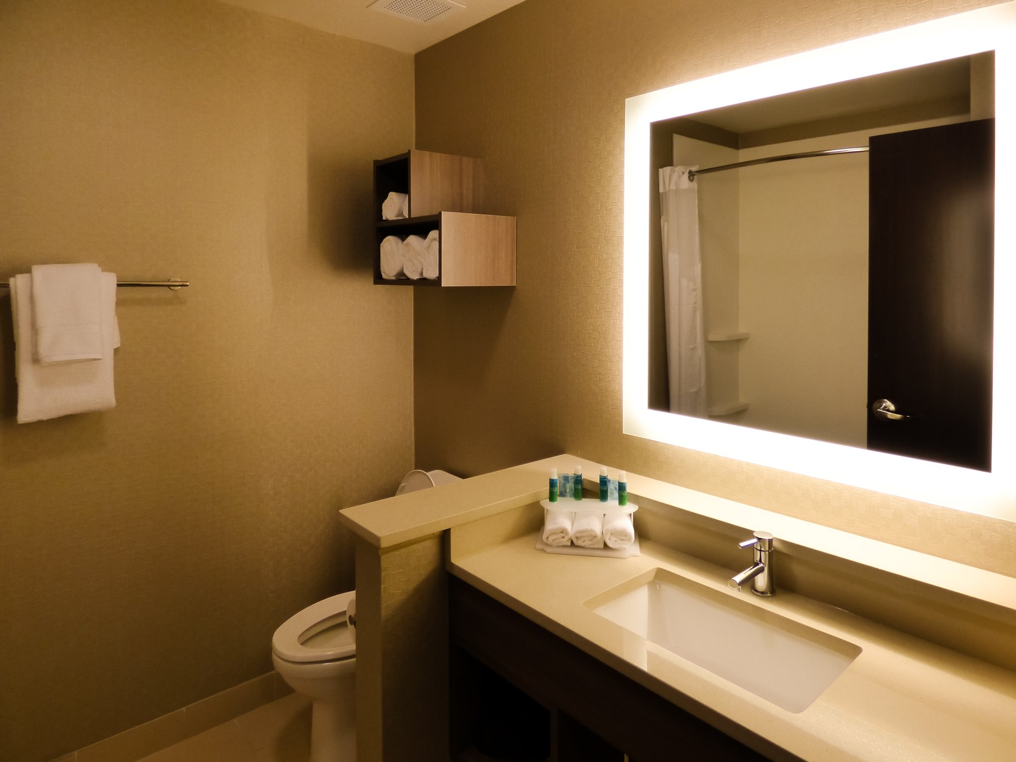 Holiday Inn Express & Suites Plymouth Ann Arbor Area