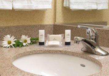Fairfield Inn and Suites by Marriott Detroit Metropolitan Airport