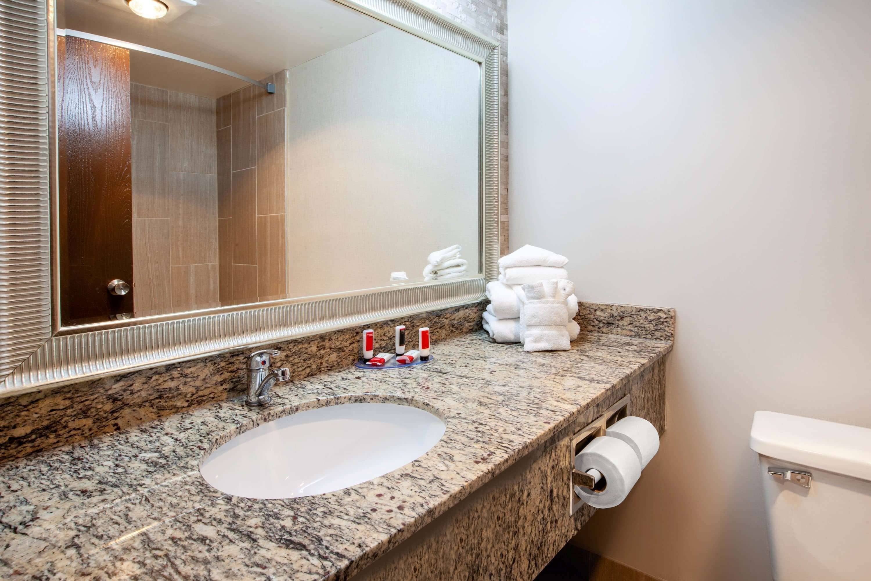 Wingate by Wyndham Detroit Metro Airport