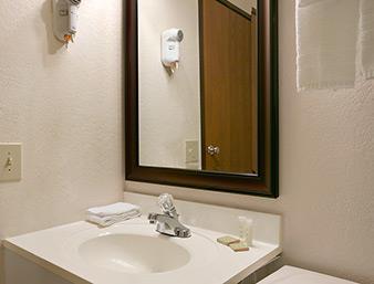 Super 8 by Wyndham Saginaw