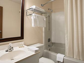 Super 8 by Wyndham Saginaw