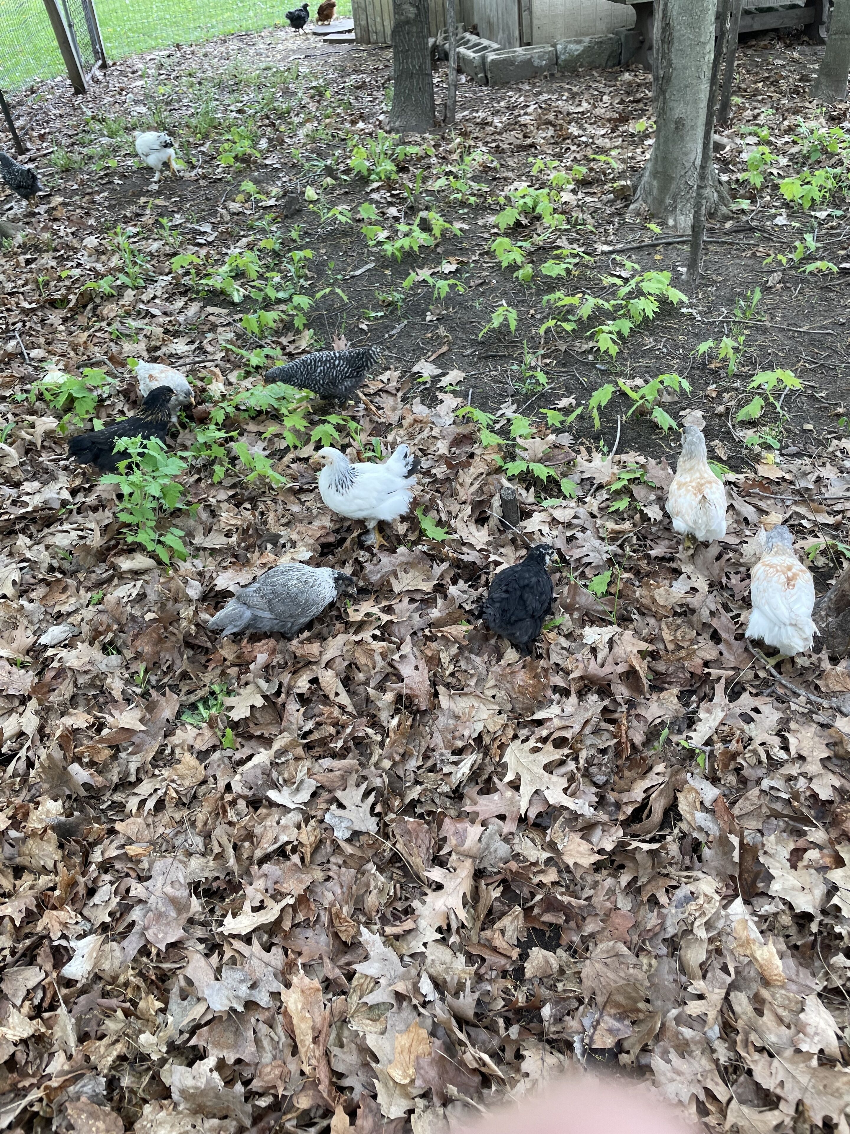 Vintage Inn At Veritas Estate