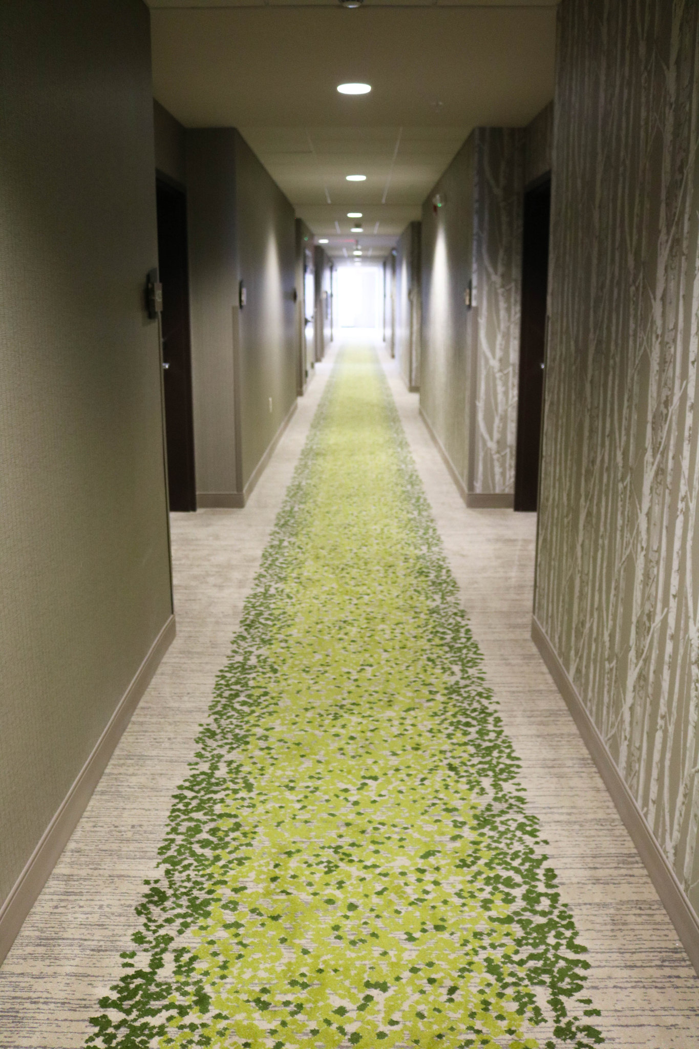 Hotel Indigo Traverse City