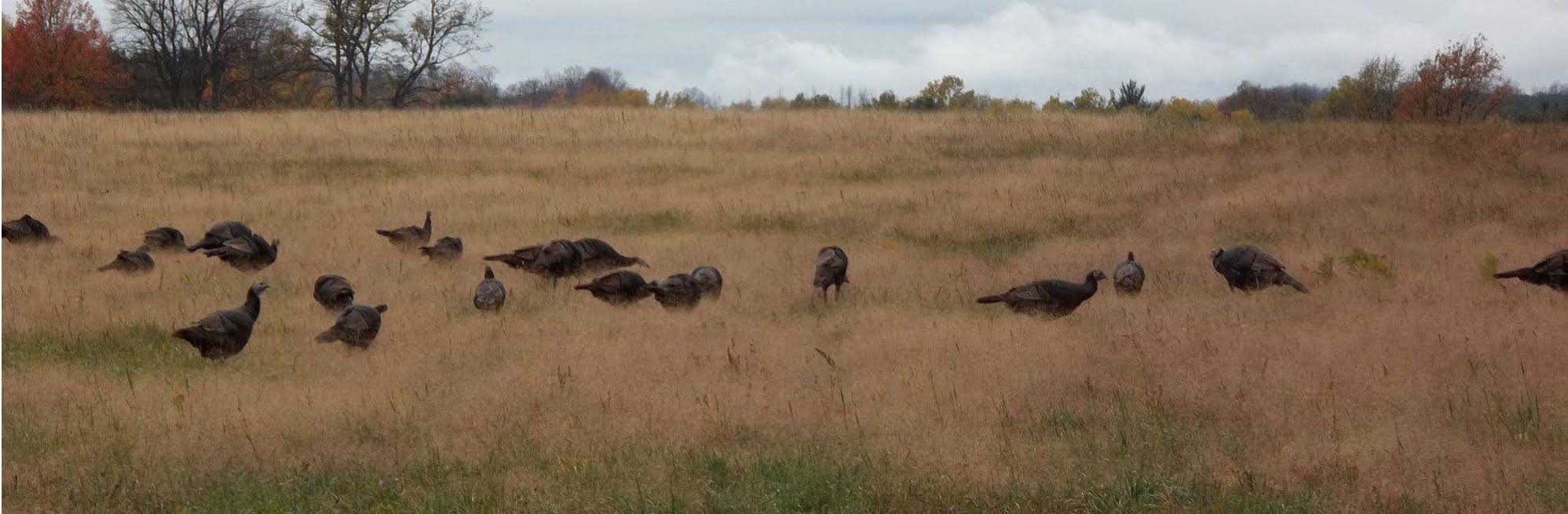 Yorkburg Manor Bed & Breakfast
