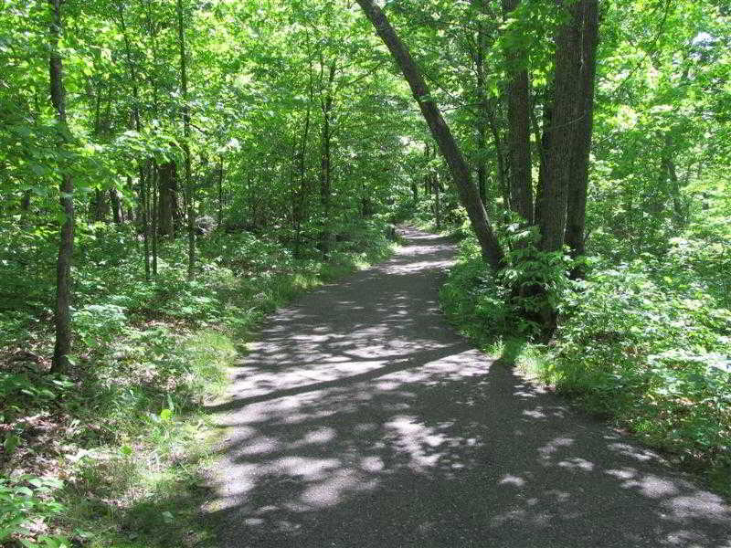 Best Western Bemidji