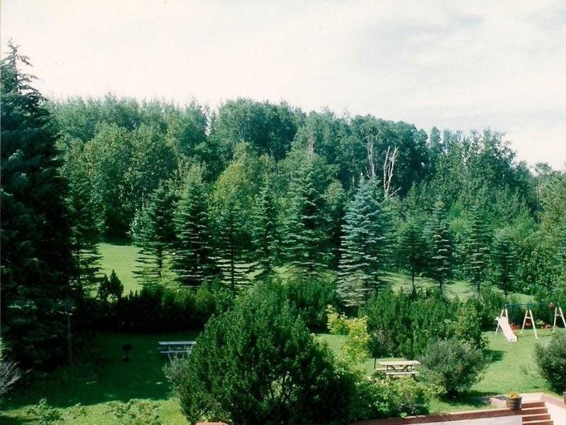 The Trailside Hotel