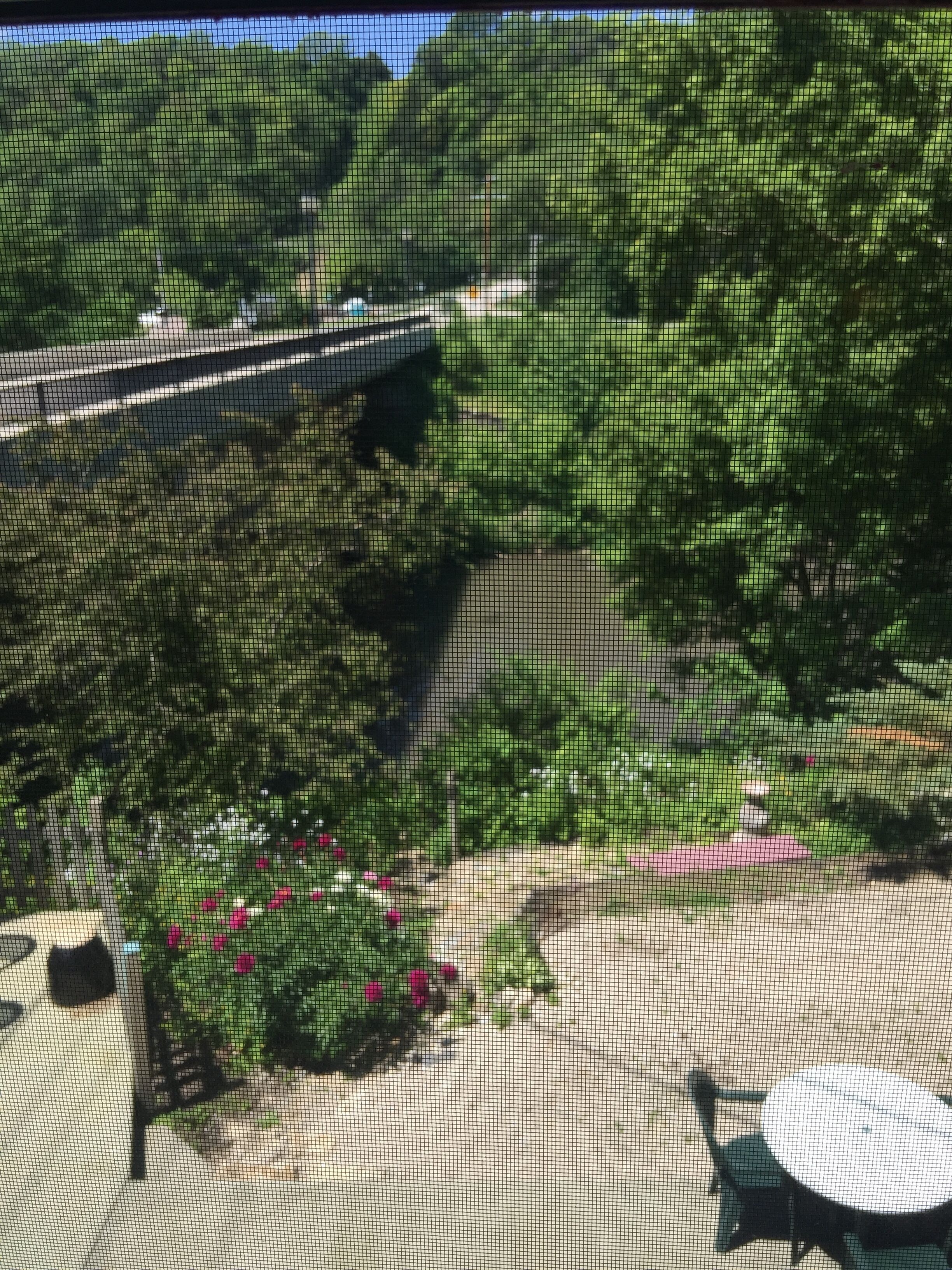 Hotel Lanesboro