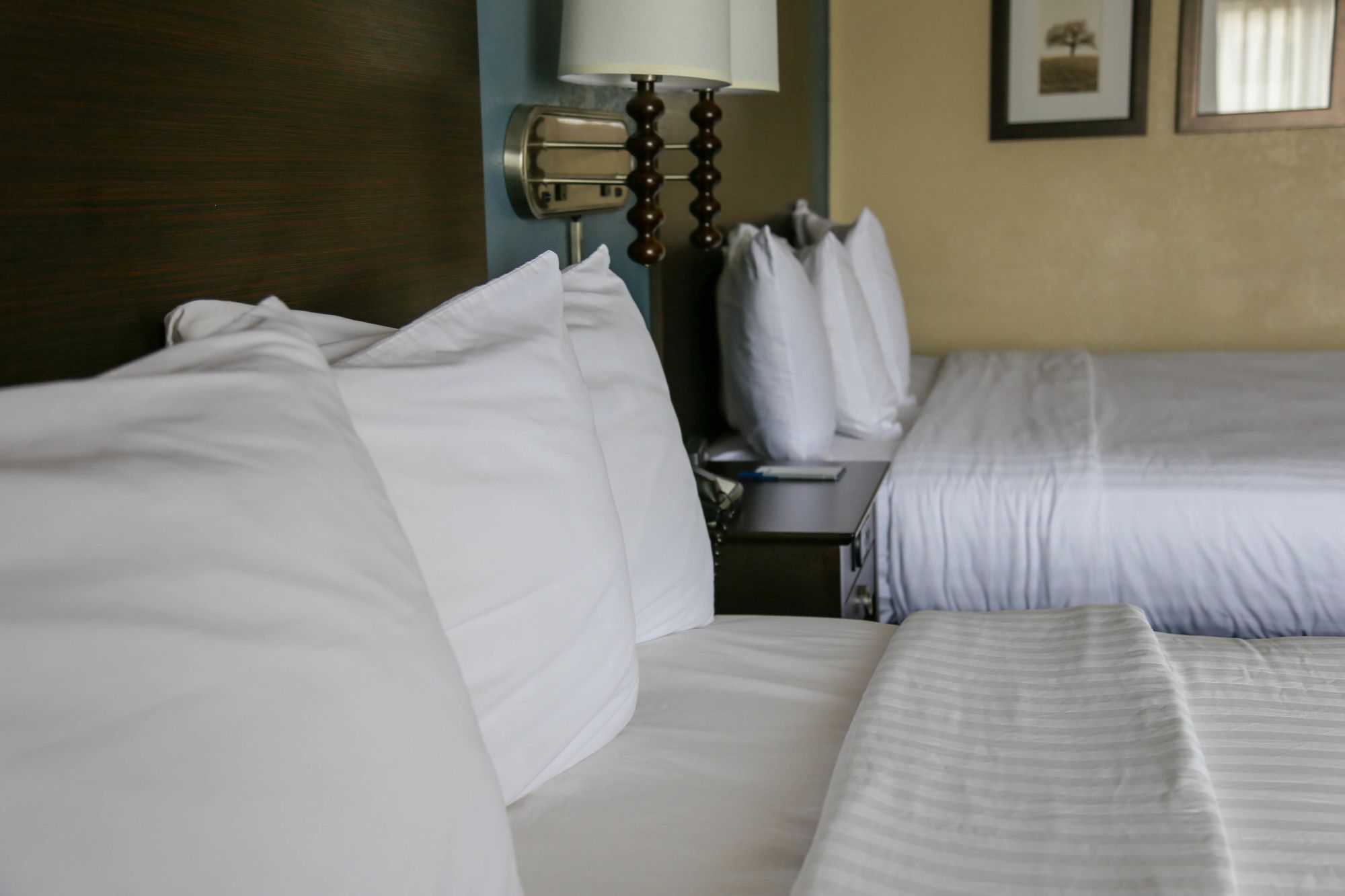 AmericInn by Wyndham Mankato Event Center