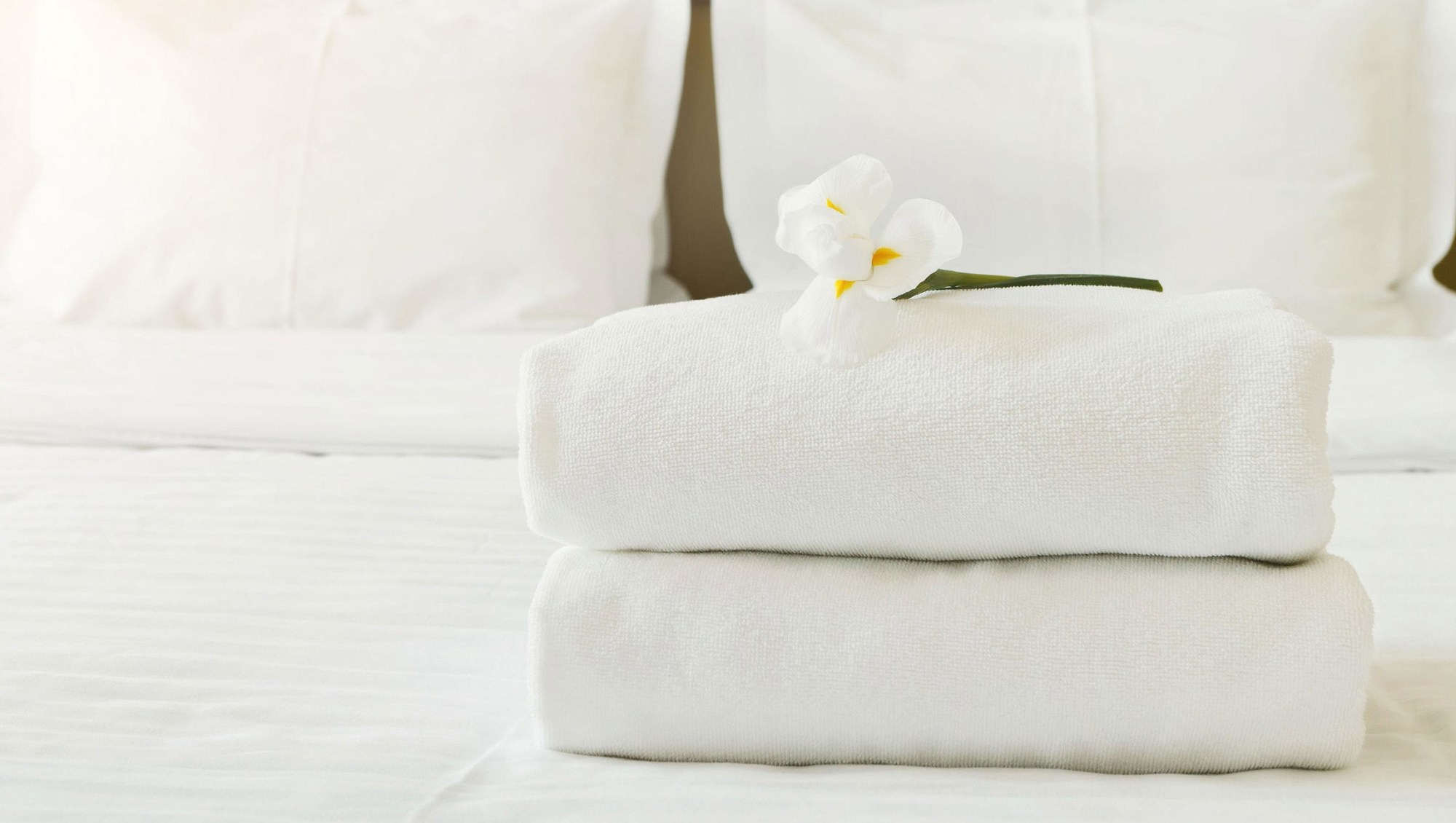 Nisswa Inn And Suites