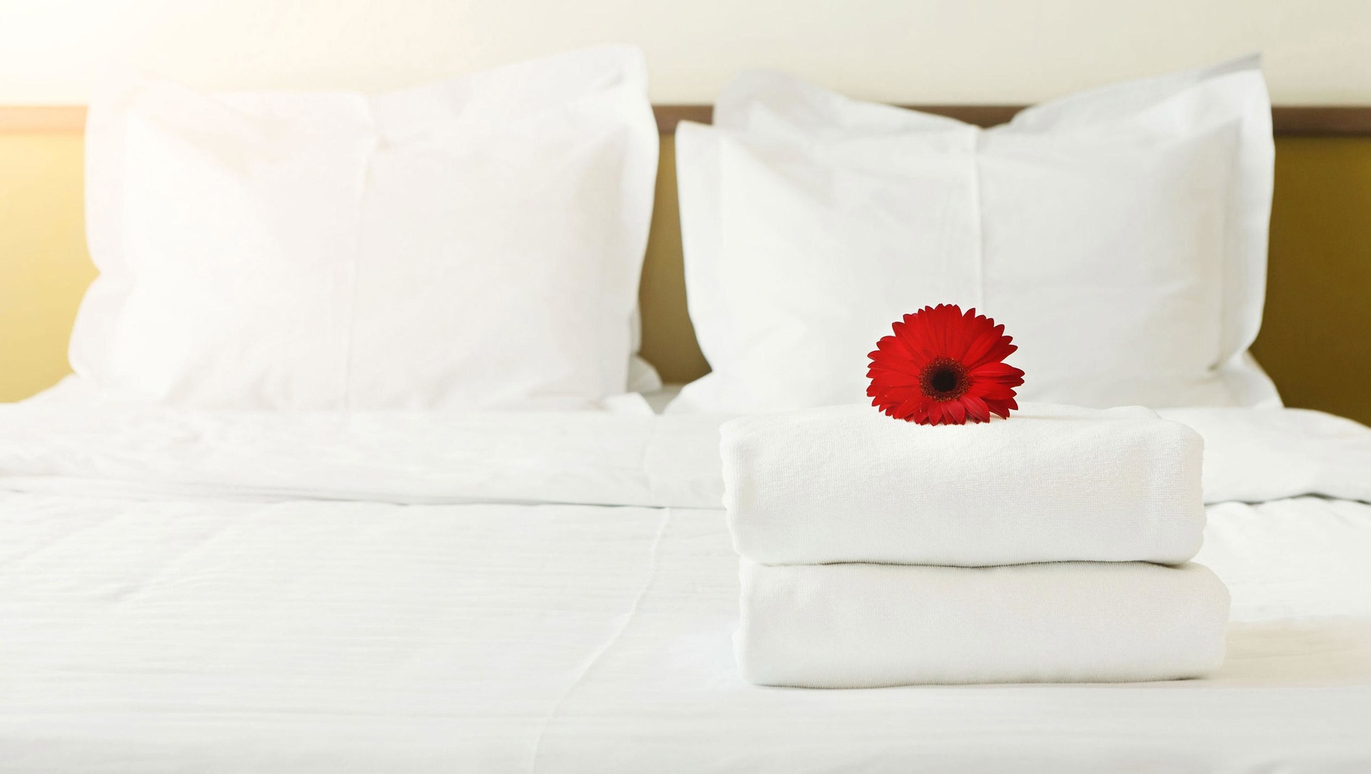 Nisswa Inn And Suites