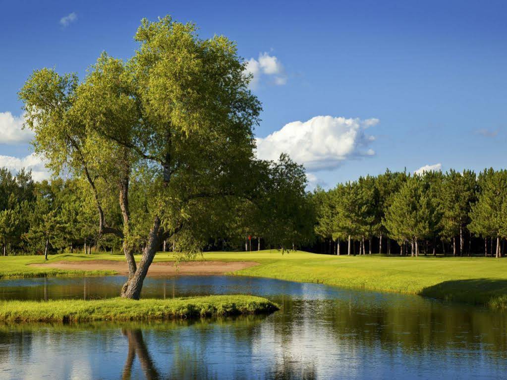 Thumper Pond Resort