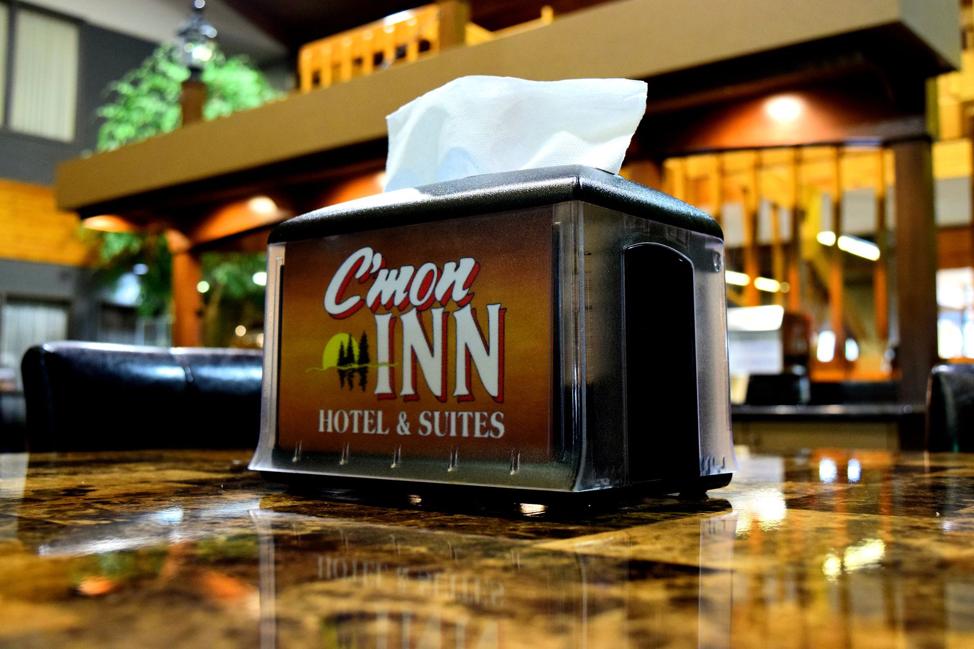 C'mon Inn - Park Rapids