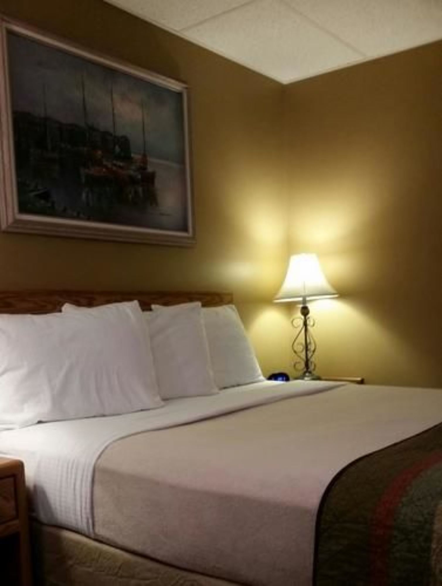 Lakeshor Motor Inn
