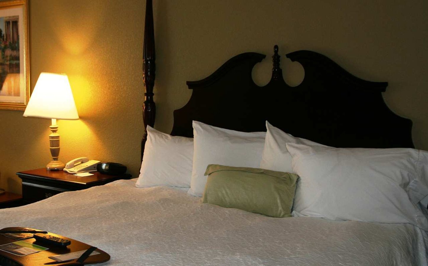 Hampton Inn Canton