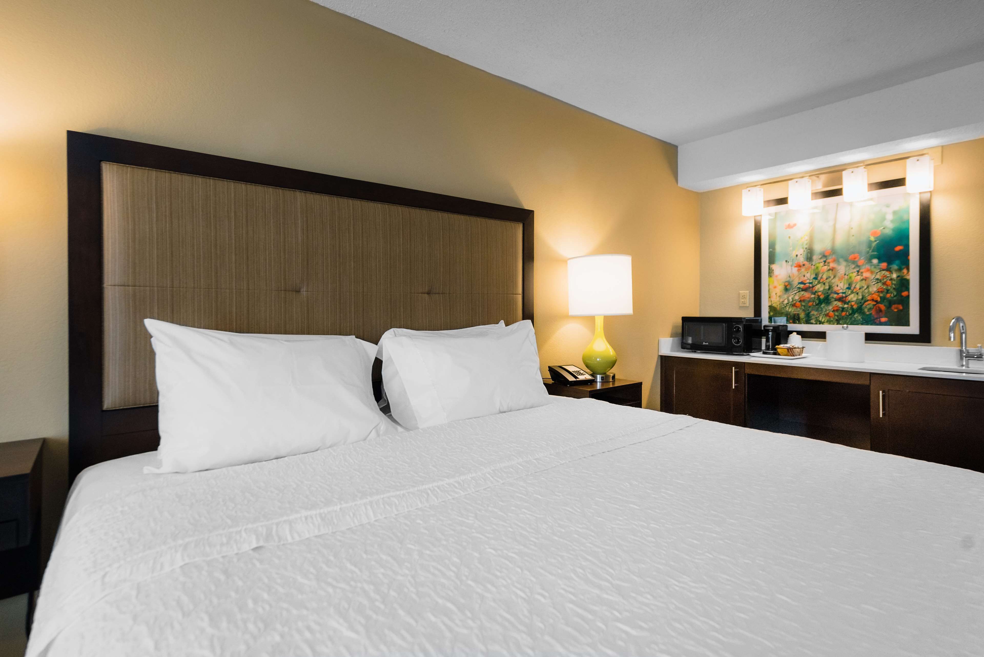 Hampton Inn Meridian