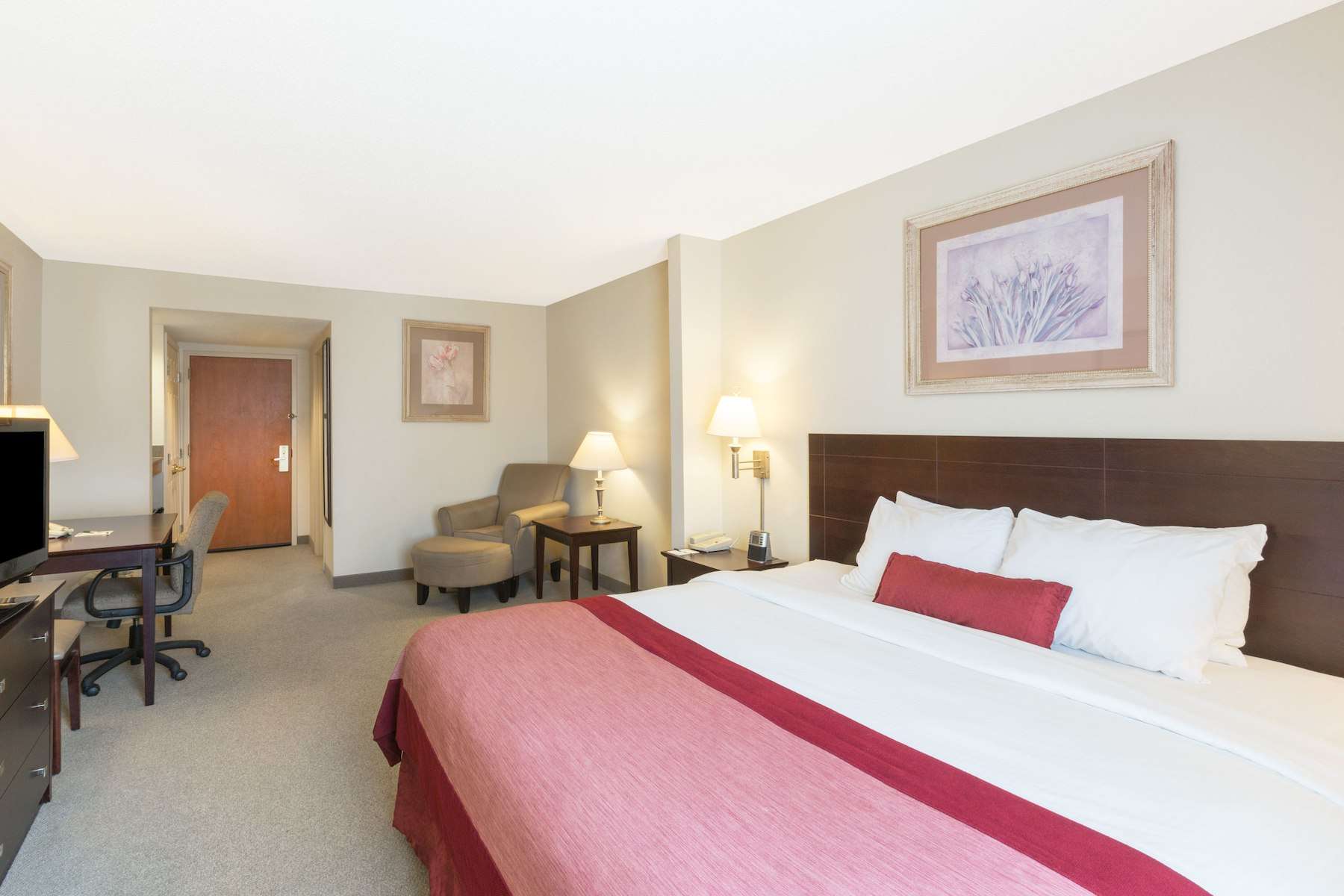 Spark by Hilton Tupelo