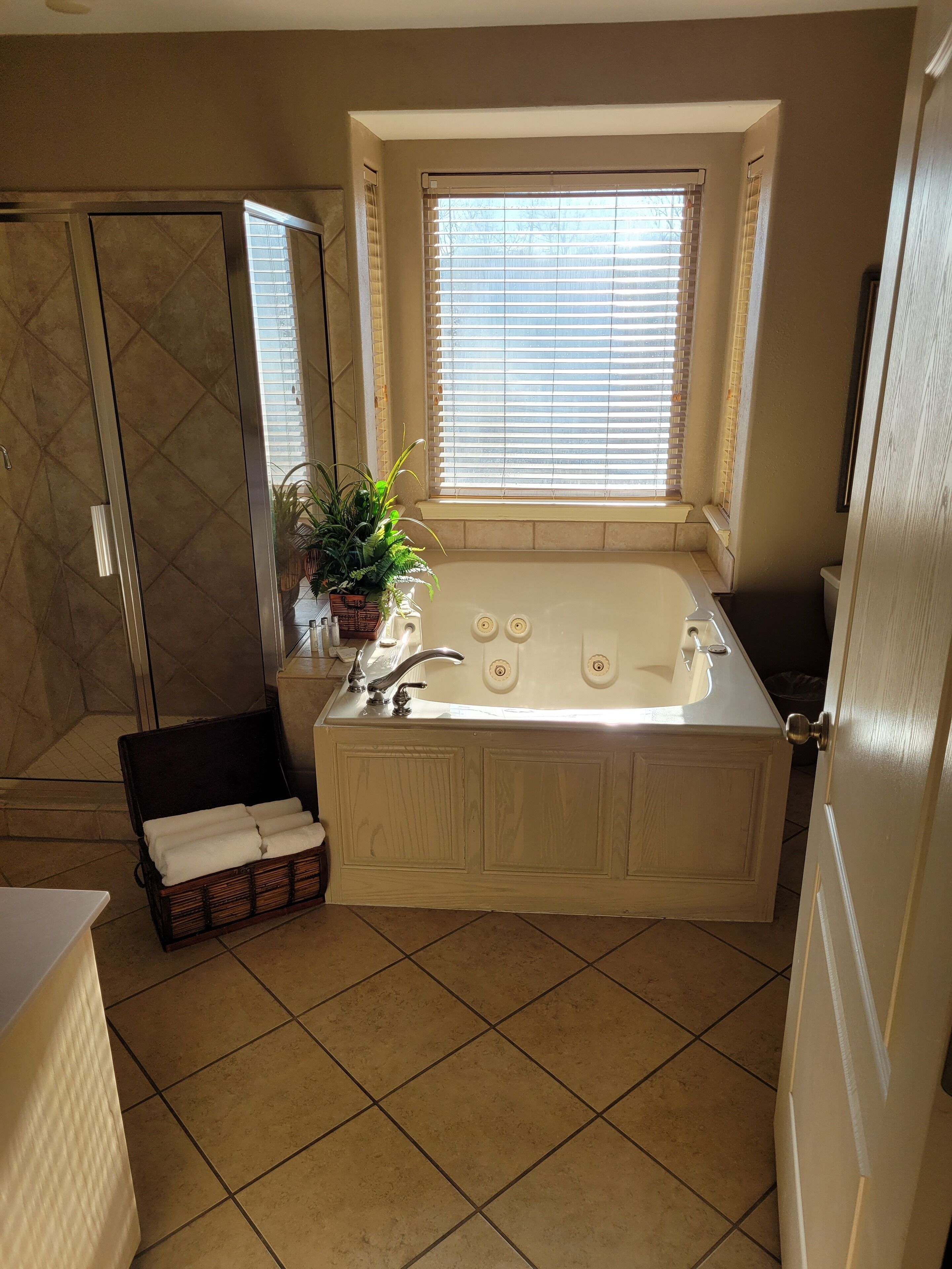 Stonebridge Village COA