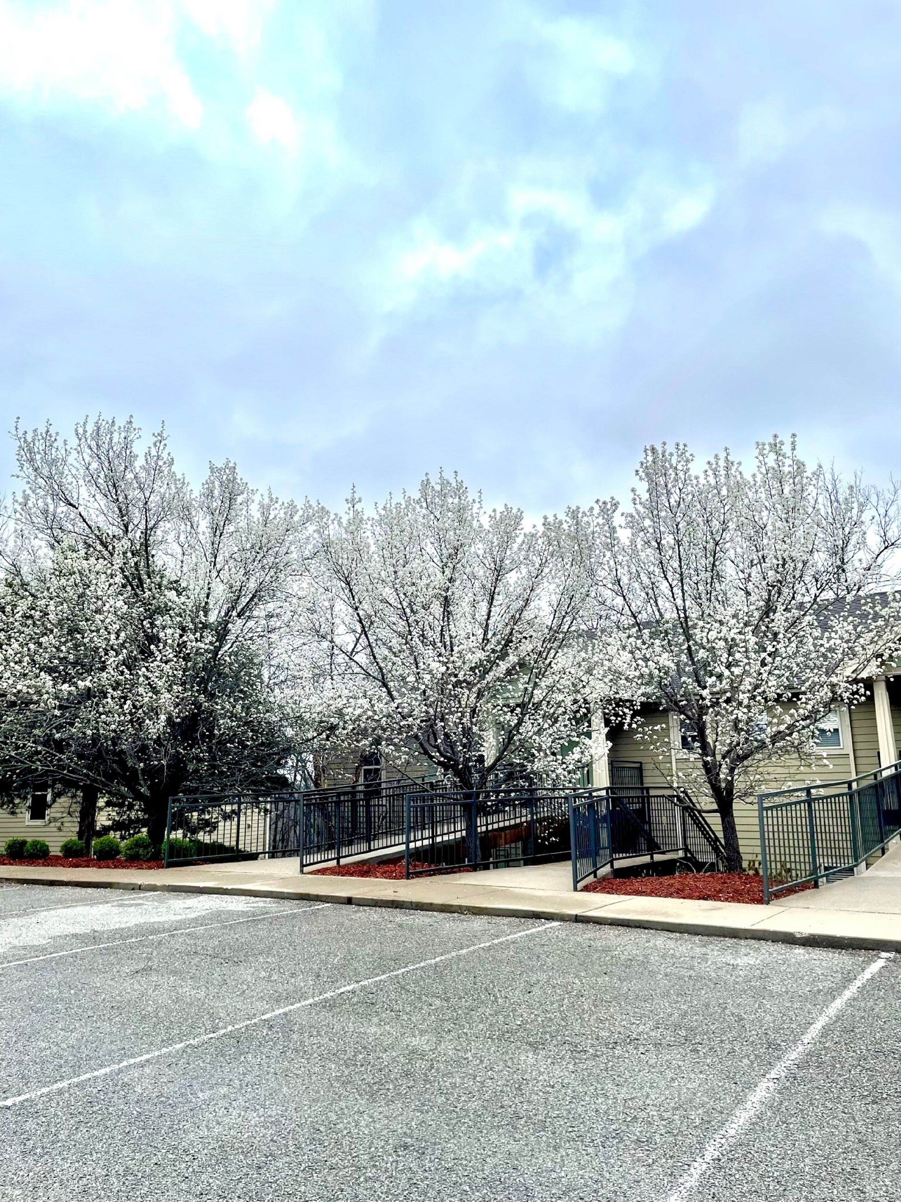 Stonebridge Village COA