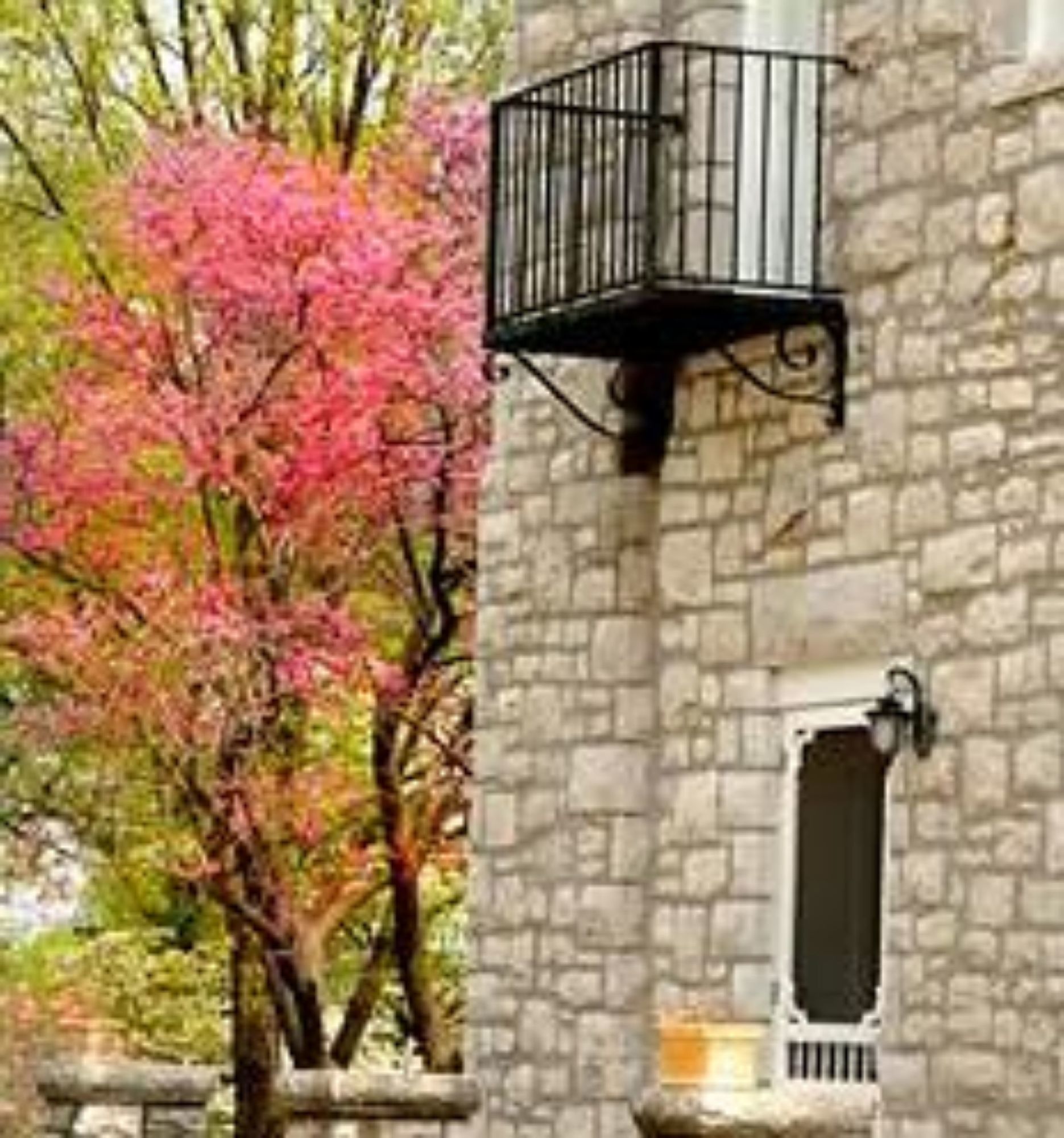 Hawthorn - A Bed & Breakfast