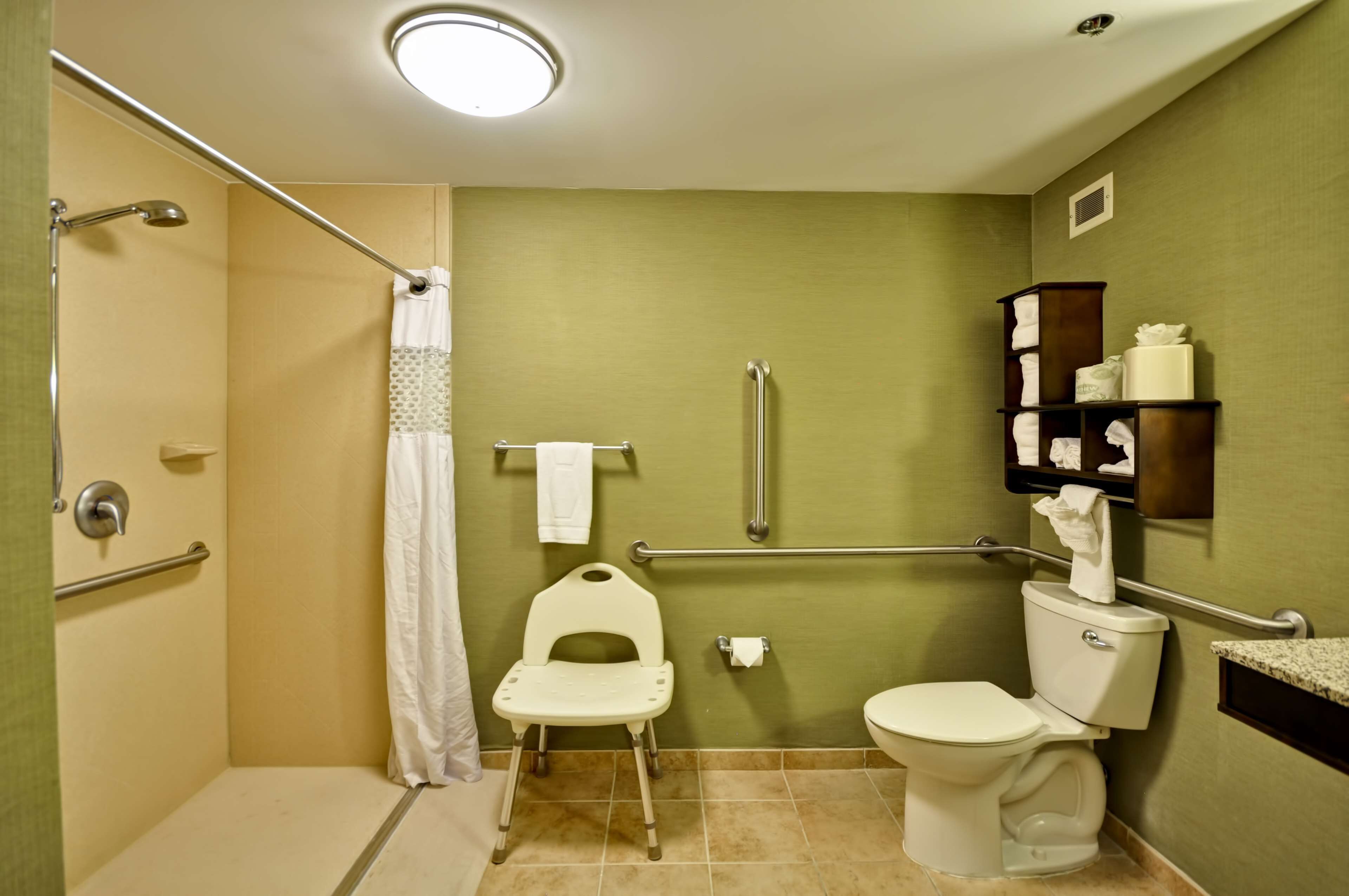 Hampton Inn Kansas City-Airport