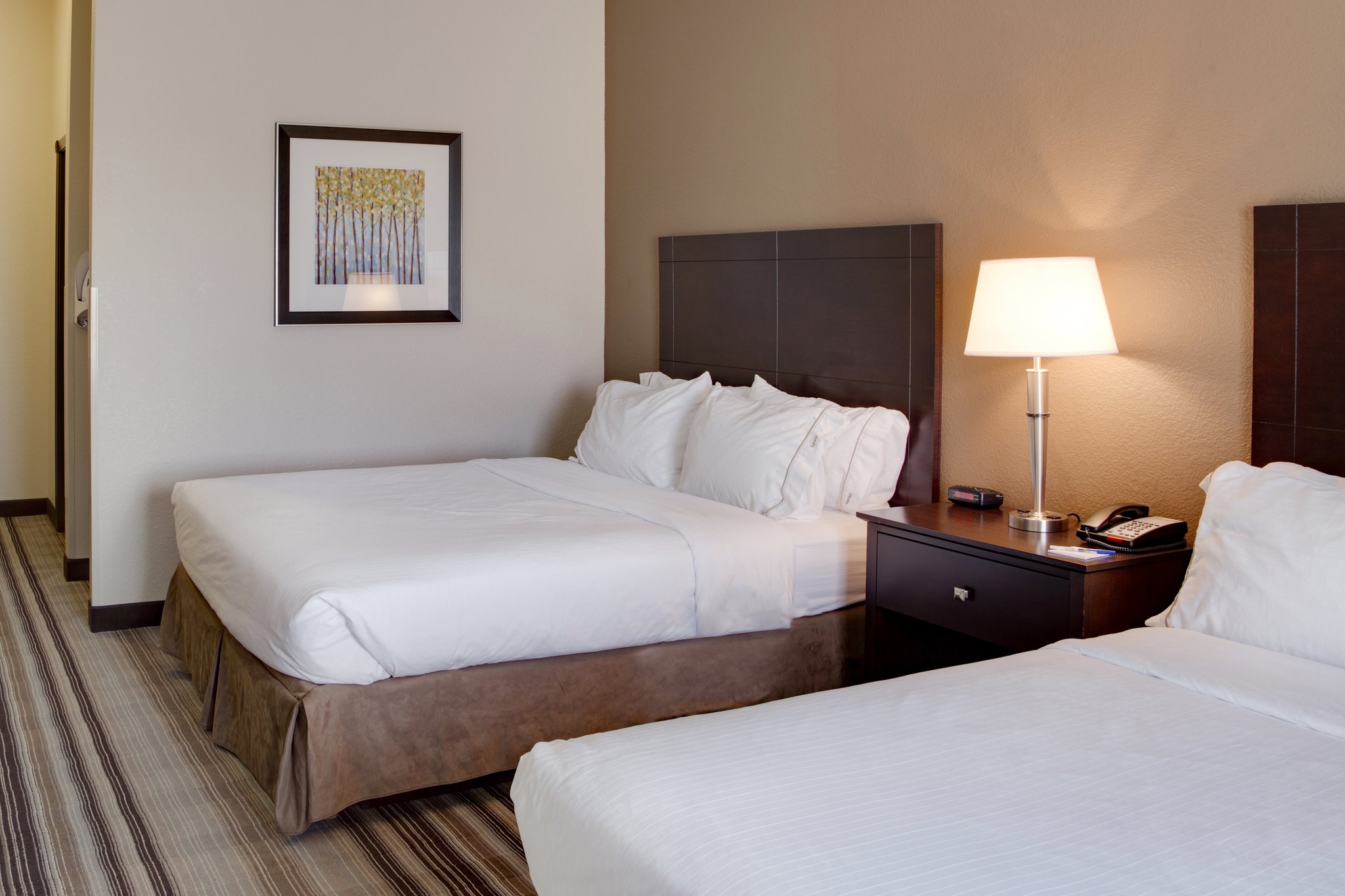 Holiday Inn Express & Suites Nevada