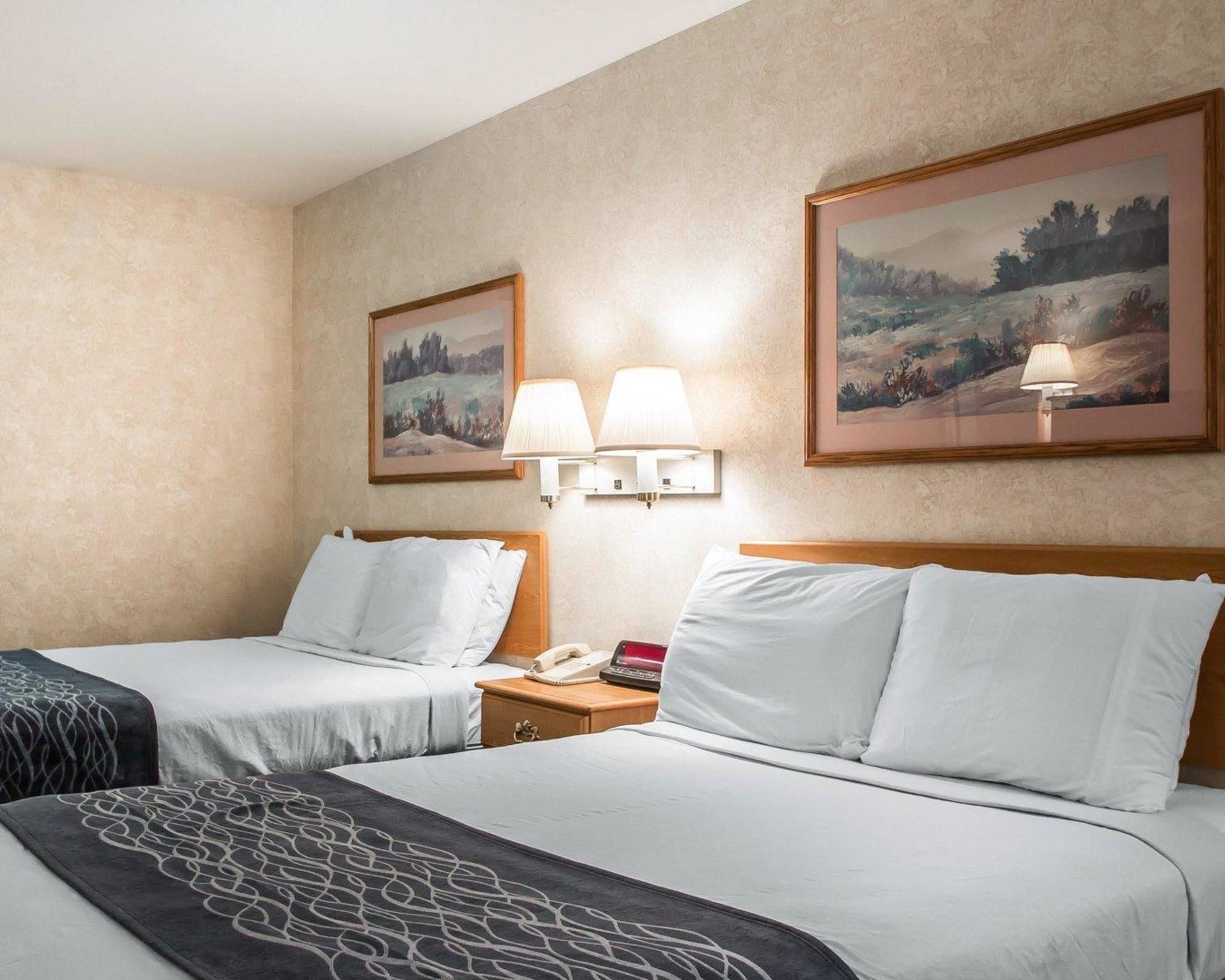 Schmidt’s Creek Hotel