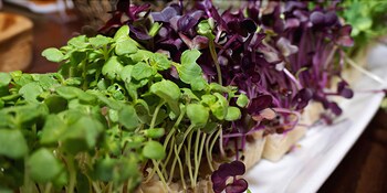 Charles F. Knight Executive Education & Conference Center