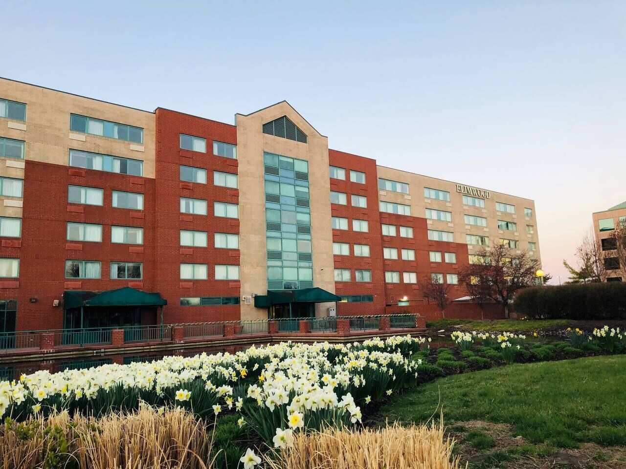 Elimwood Hotel