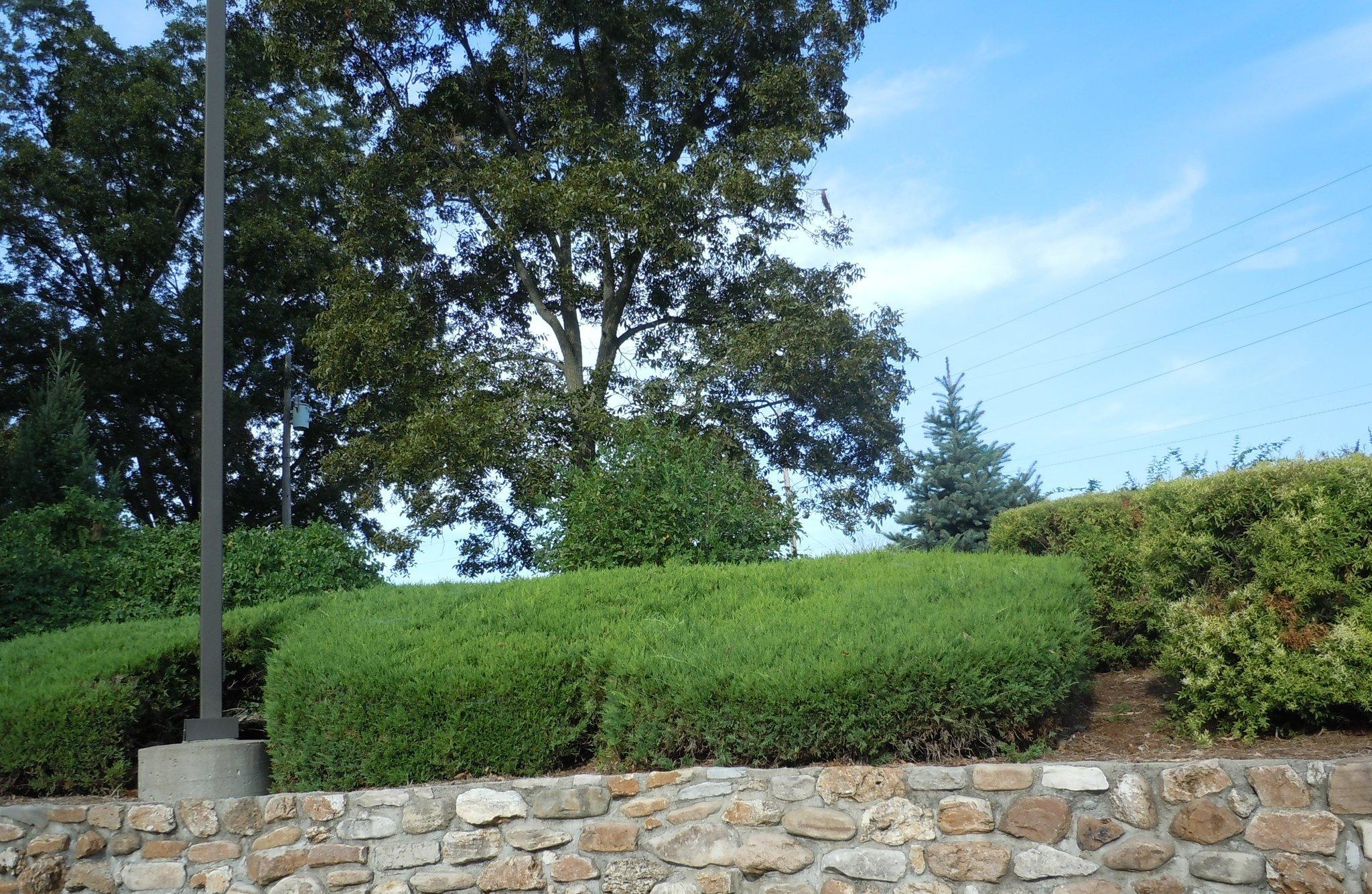 Microtel Inn & Suites by Wyndham Sainte Genevieve