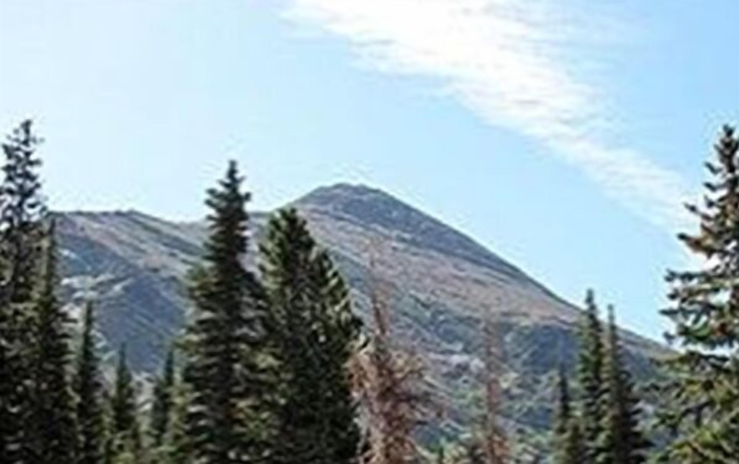 DB Botique and Cabins