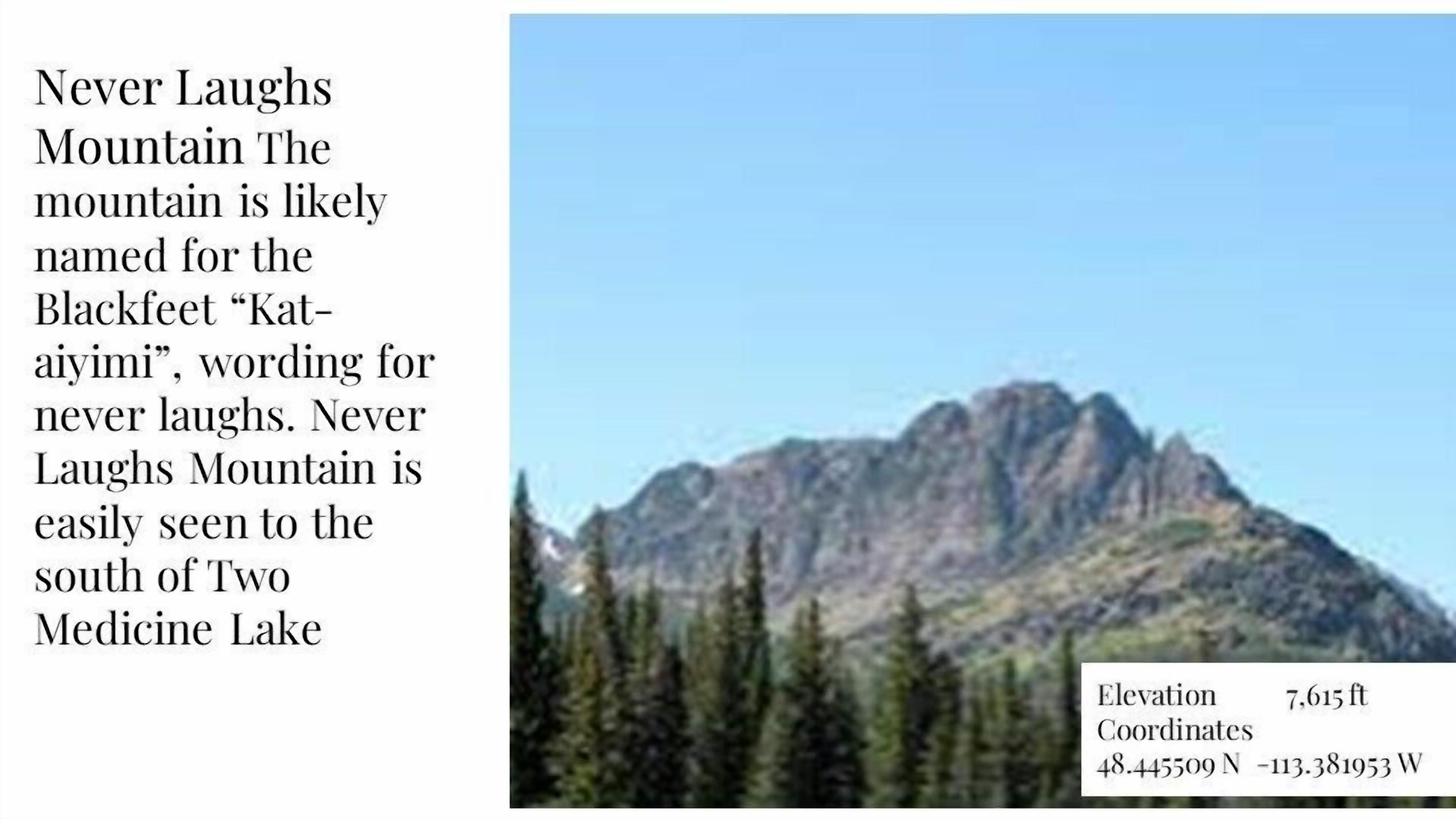 DB Botique and Cabins