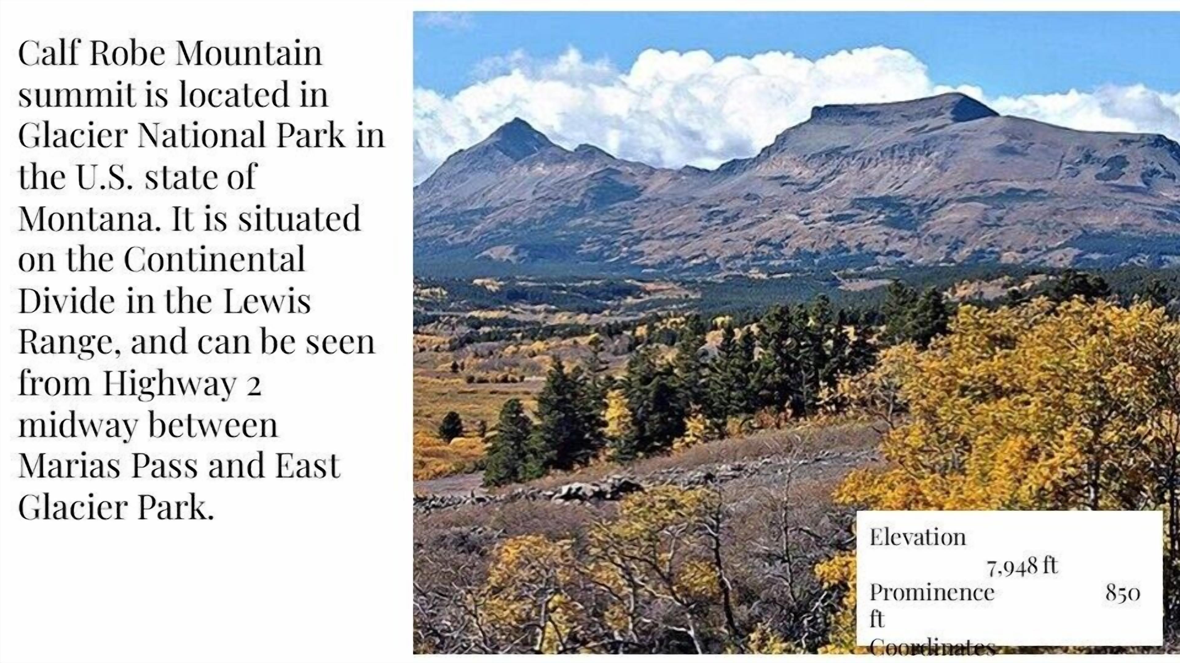 DB Botique and Cabins