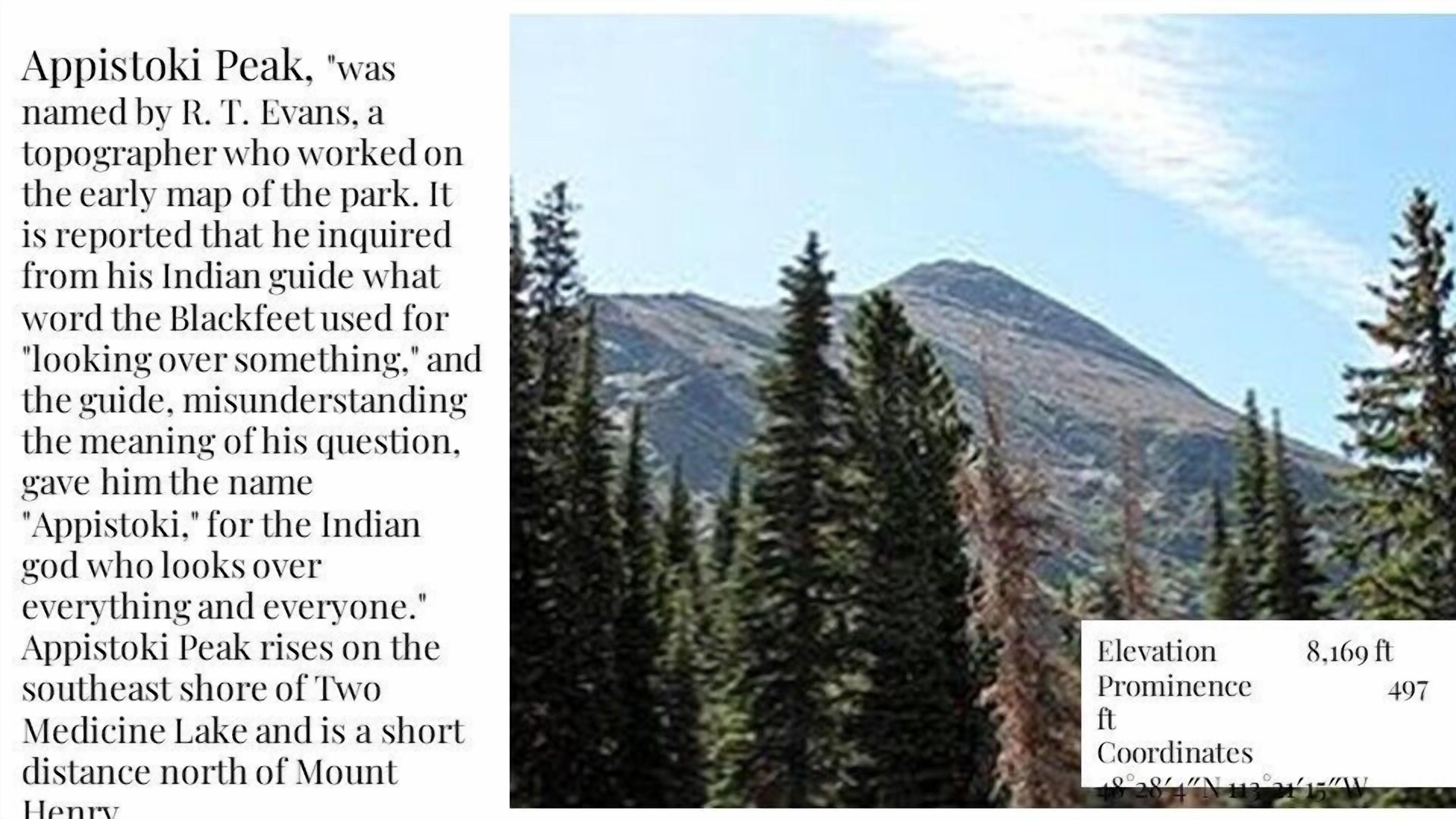 DB Botique and Cabins