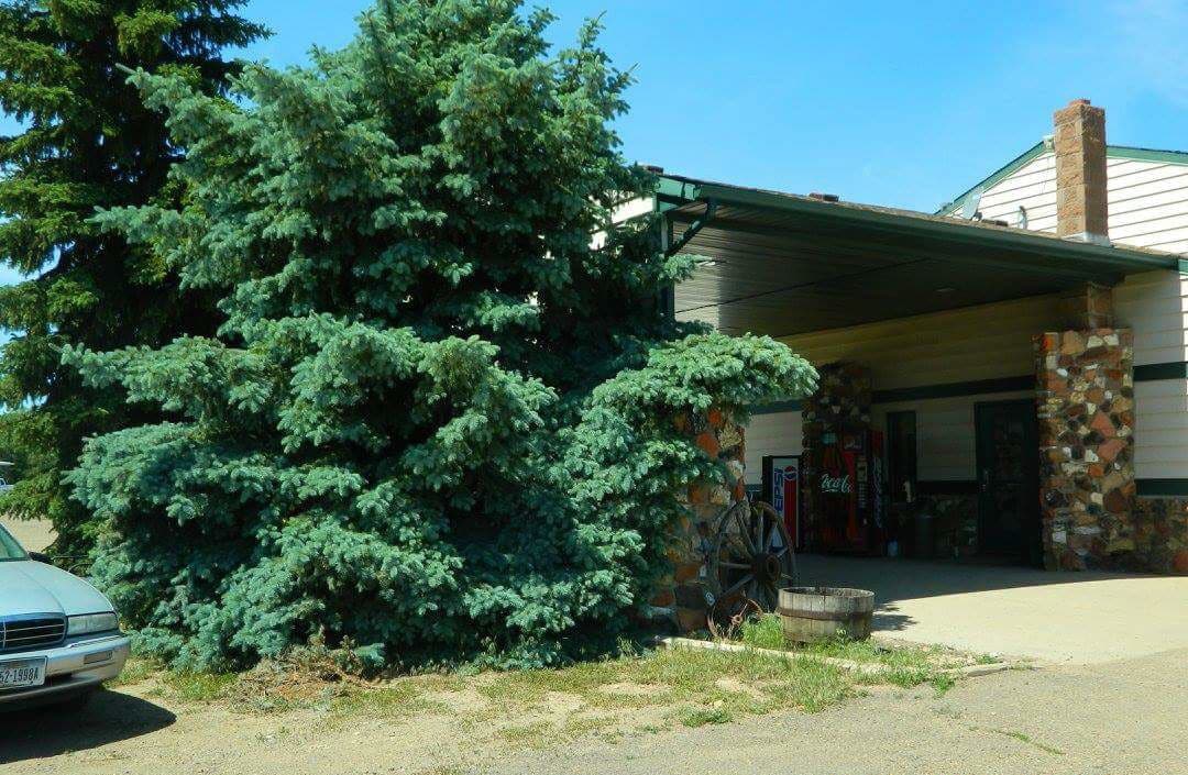 Rodeway Inn