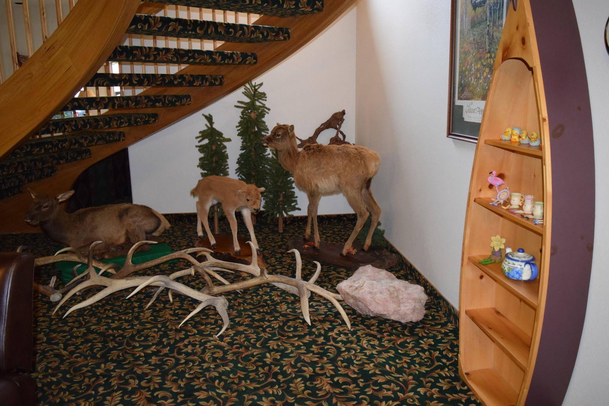 Greenwood Village Inn And Suites