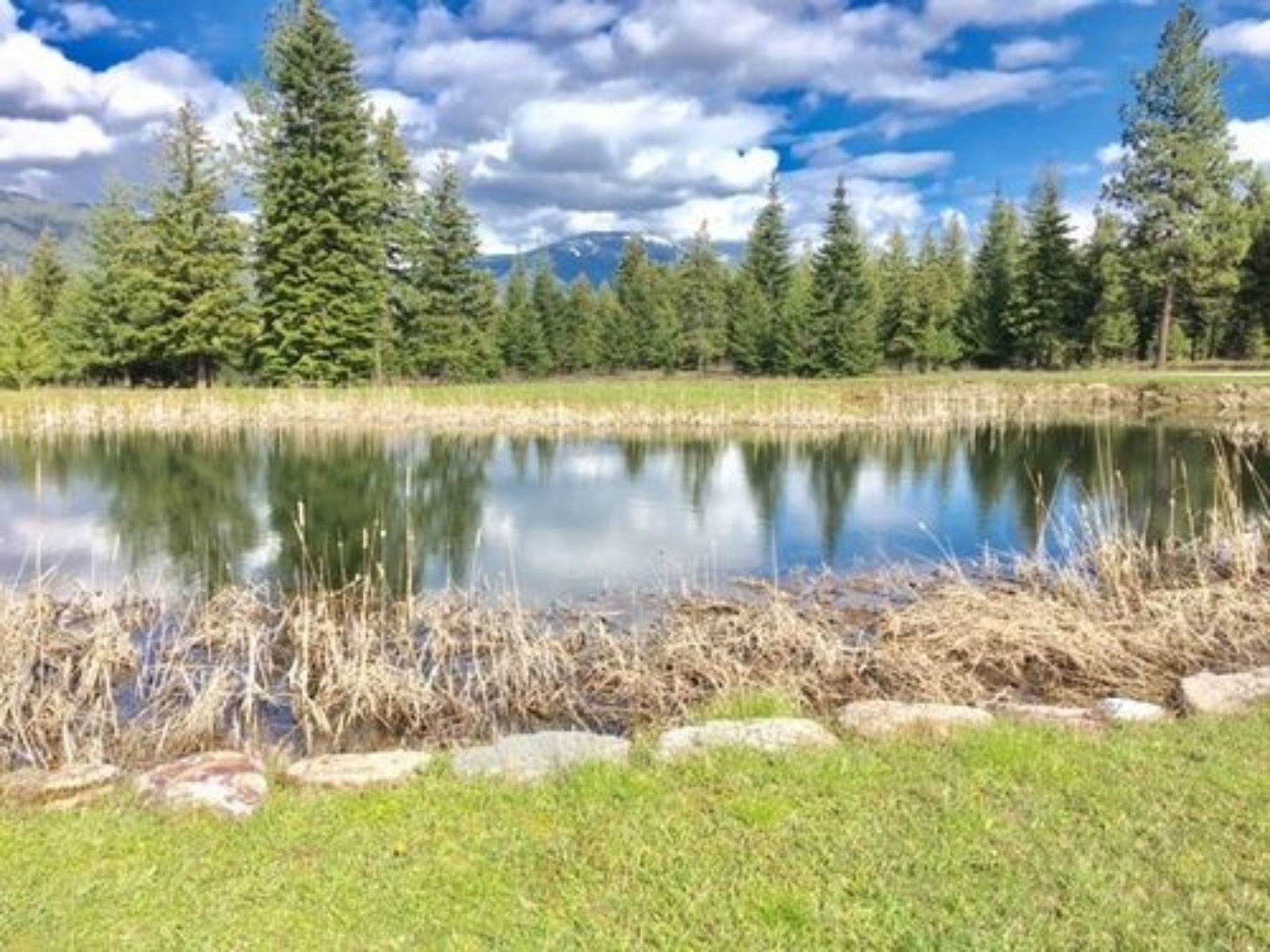 The Lodge At Trout Creek