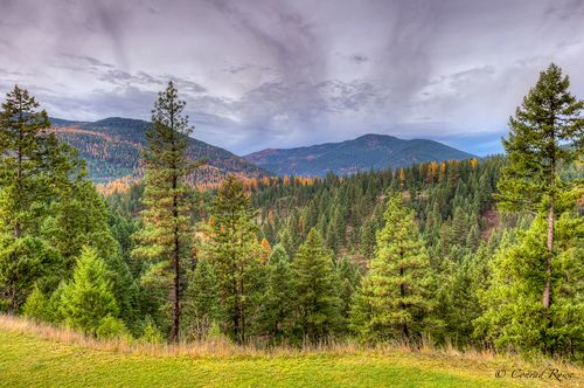 The Lodge At Trout Creek