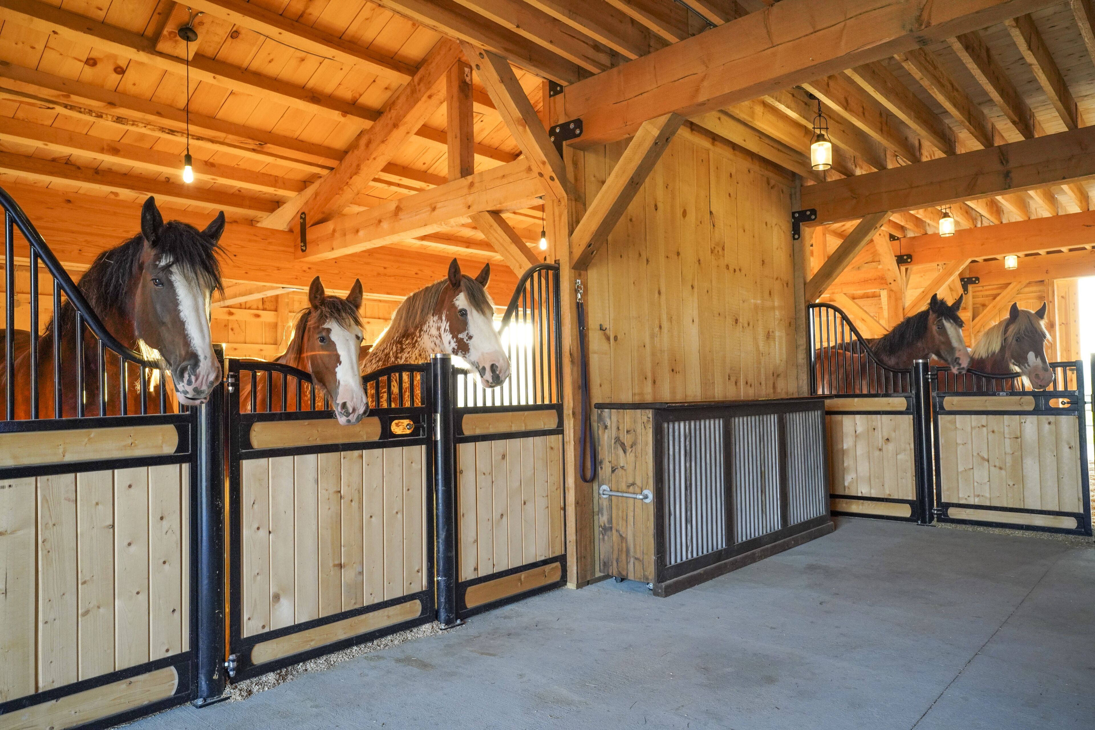 Clydesdale Outpost