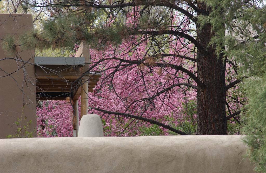 Touchstone Inn Spa Gallery