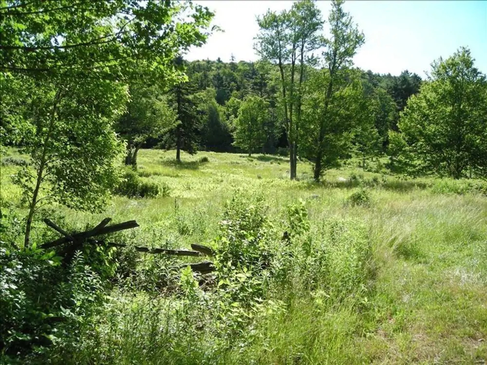 Cobb Hill Estate