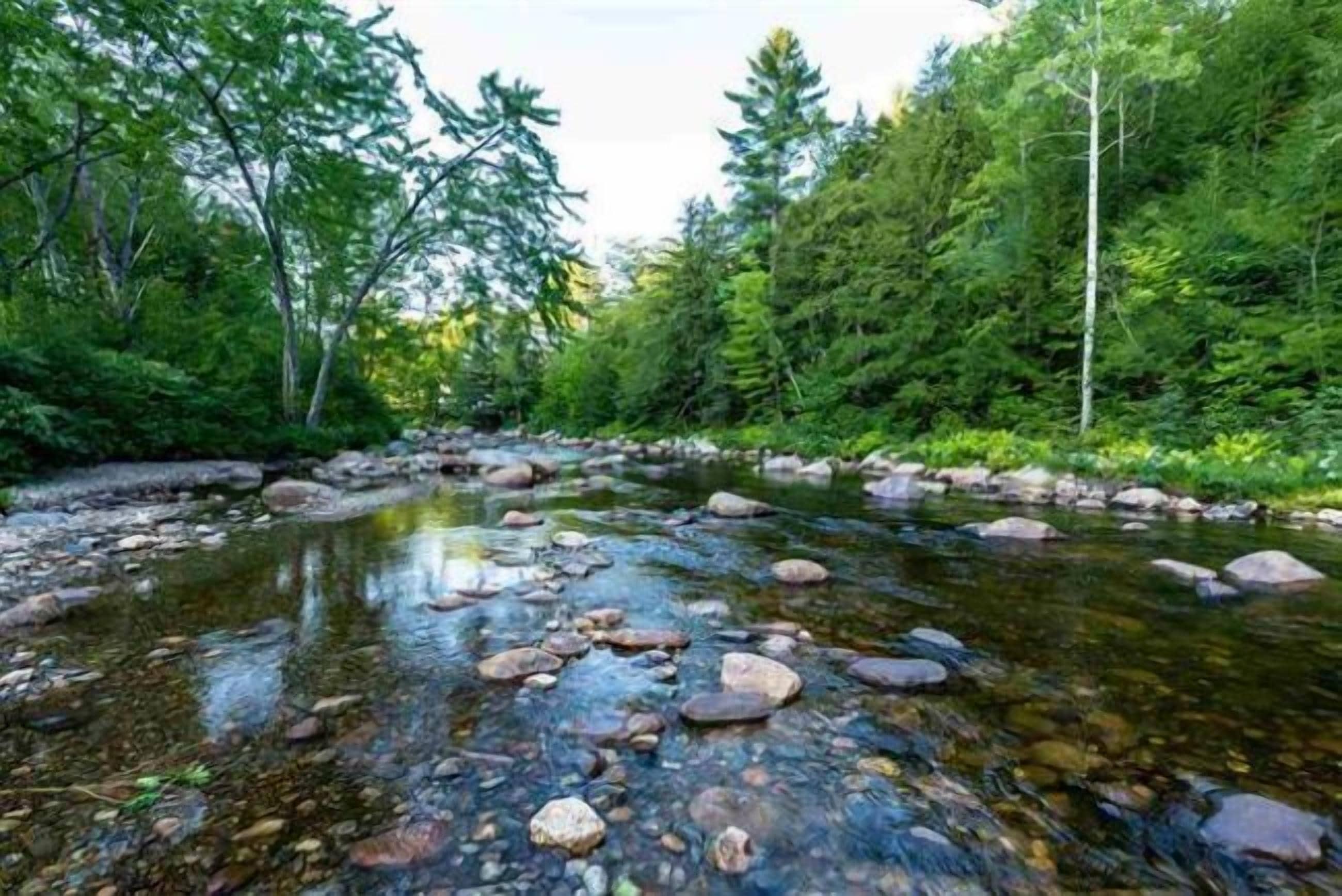 Covered Bridge River View Lodge