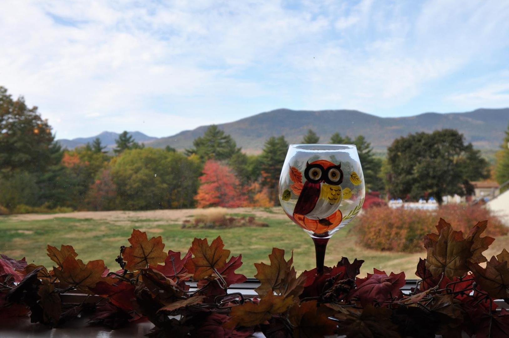 Fox Ridge Resort