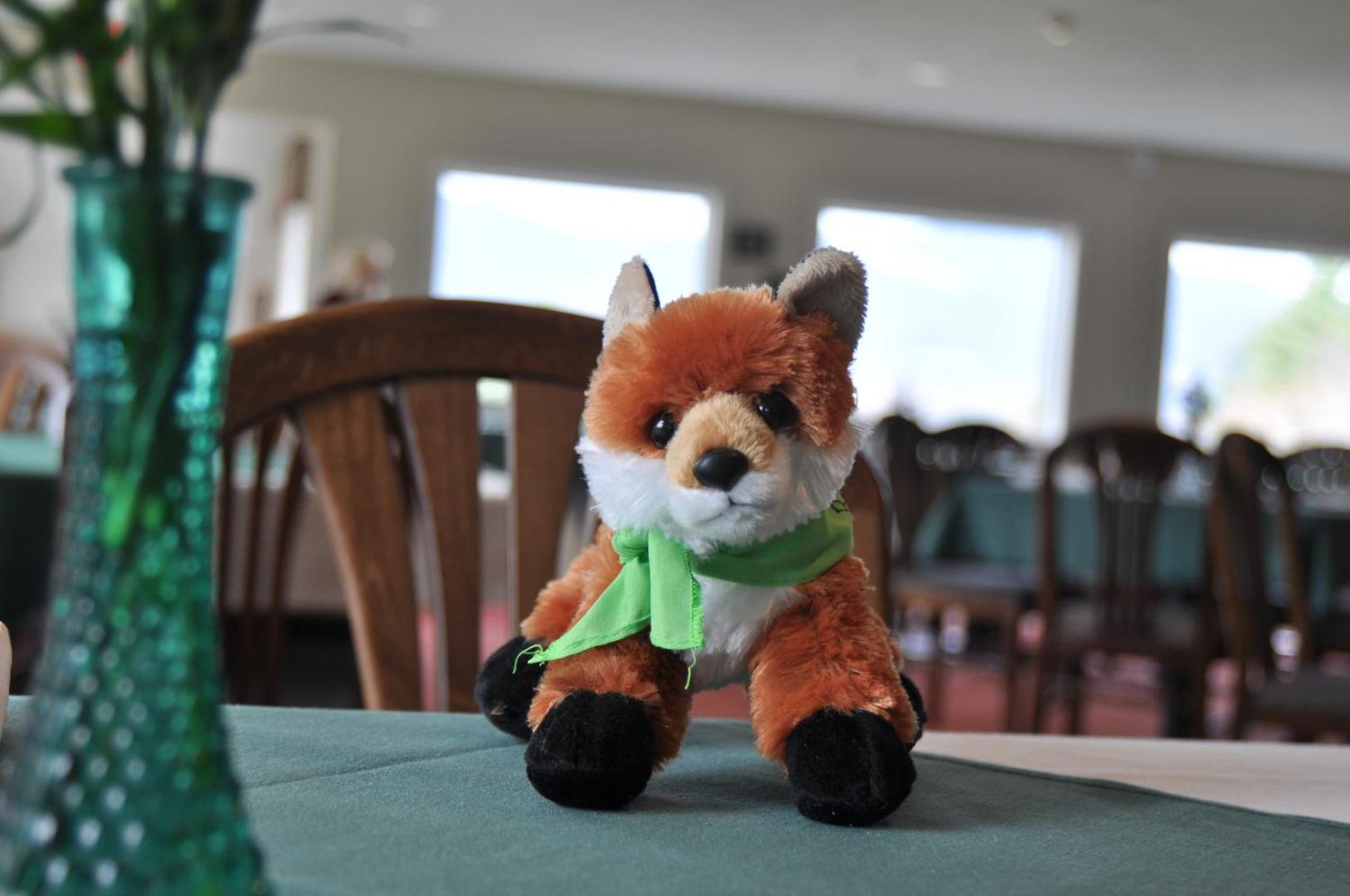 Fox Ridge Resort