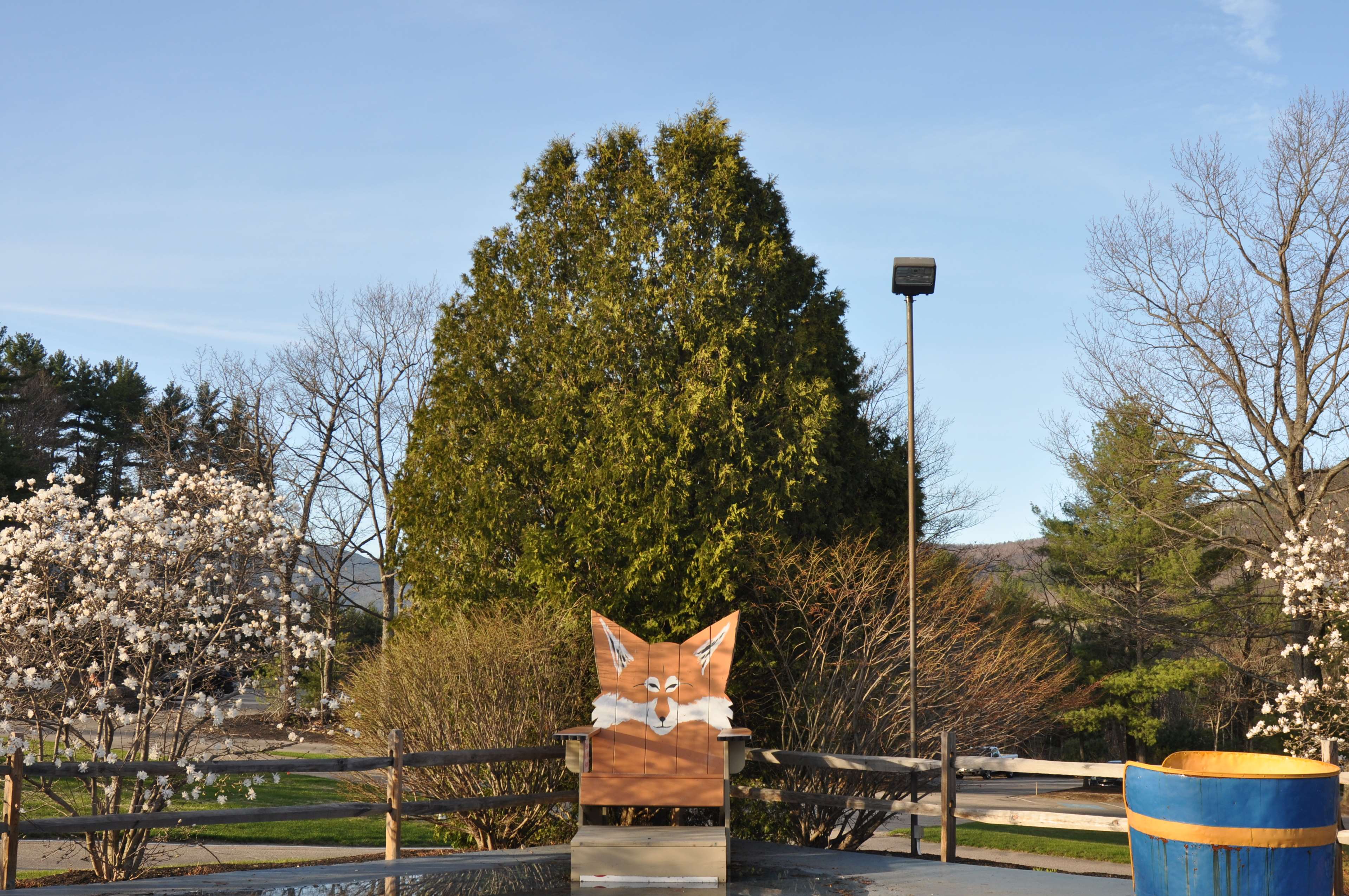 Fox Ridge Resort