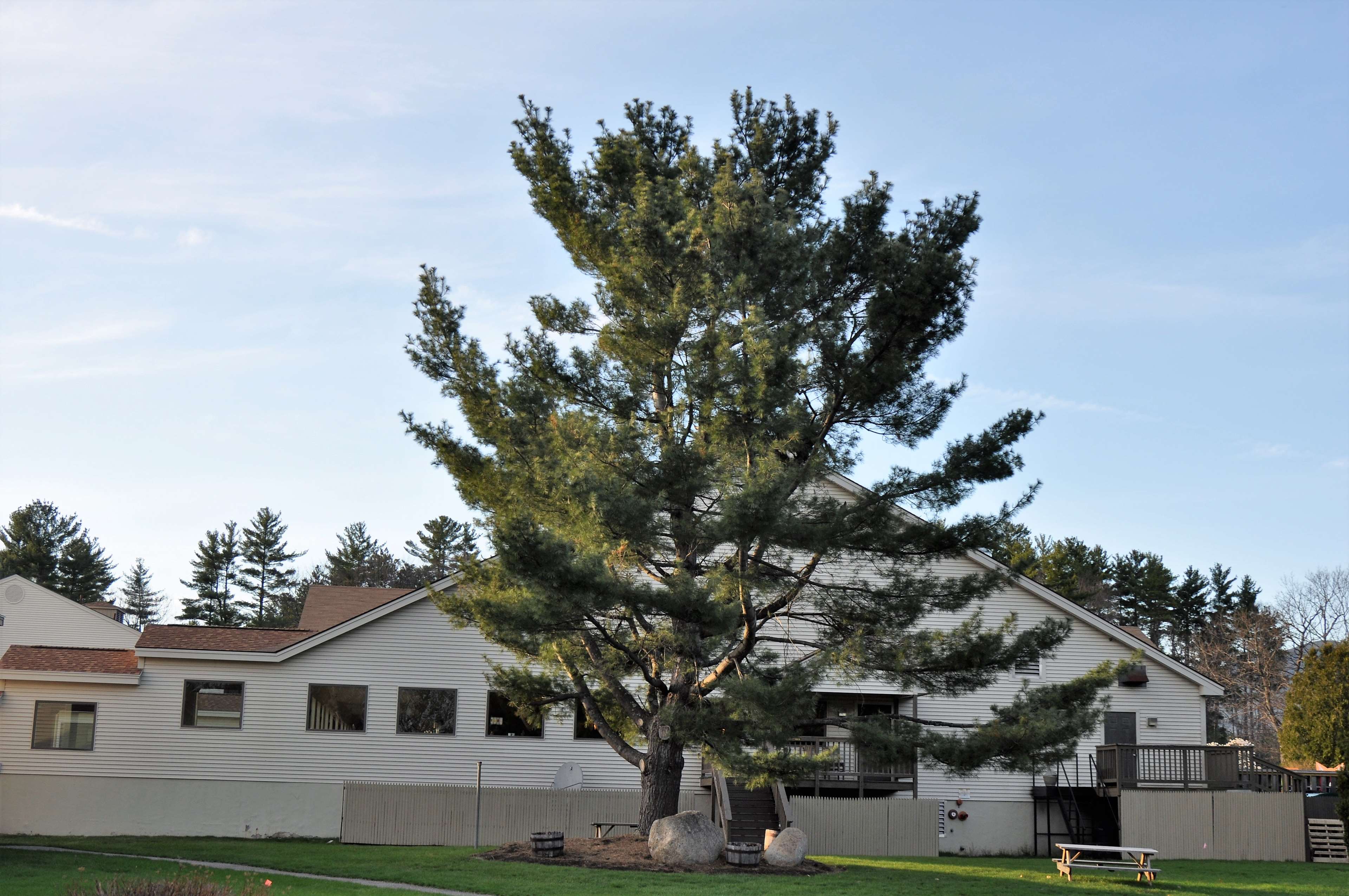 Fox Ridge Resort
