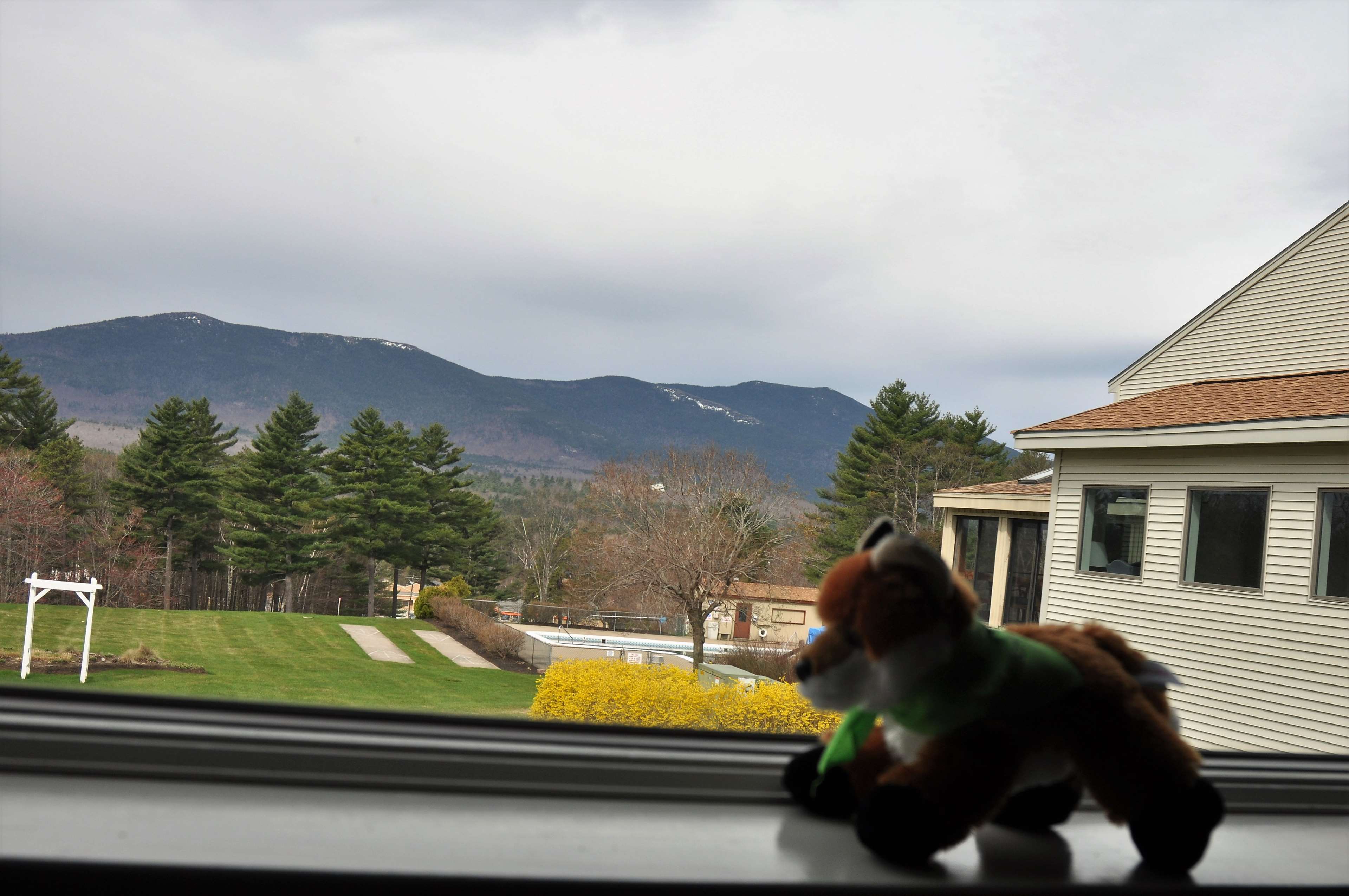 Fox Ridge Resort
