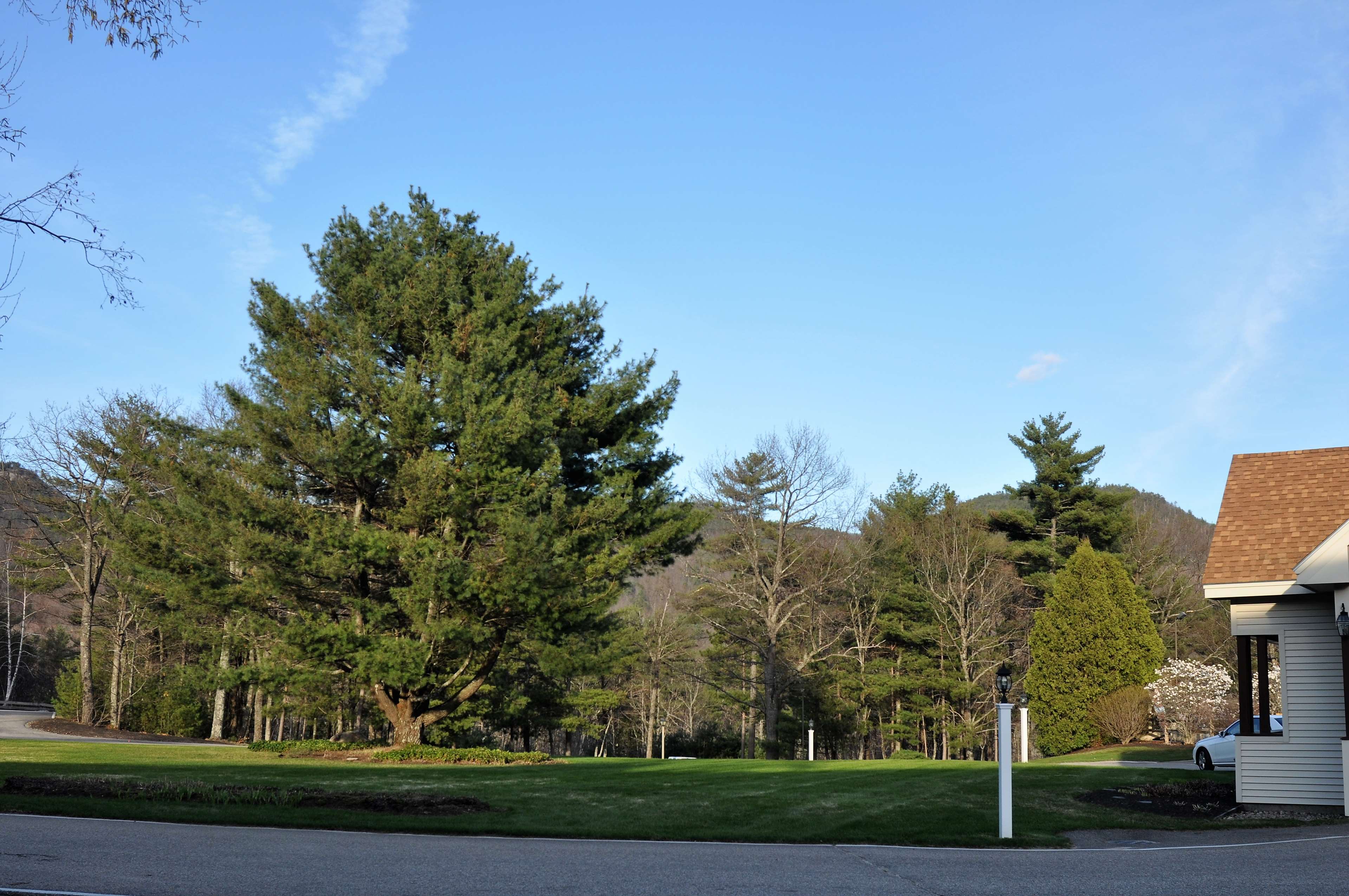 Fox Ridge Resort
