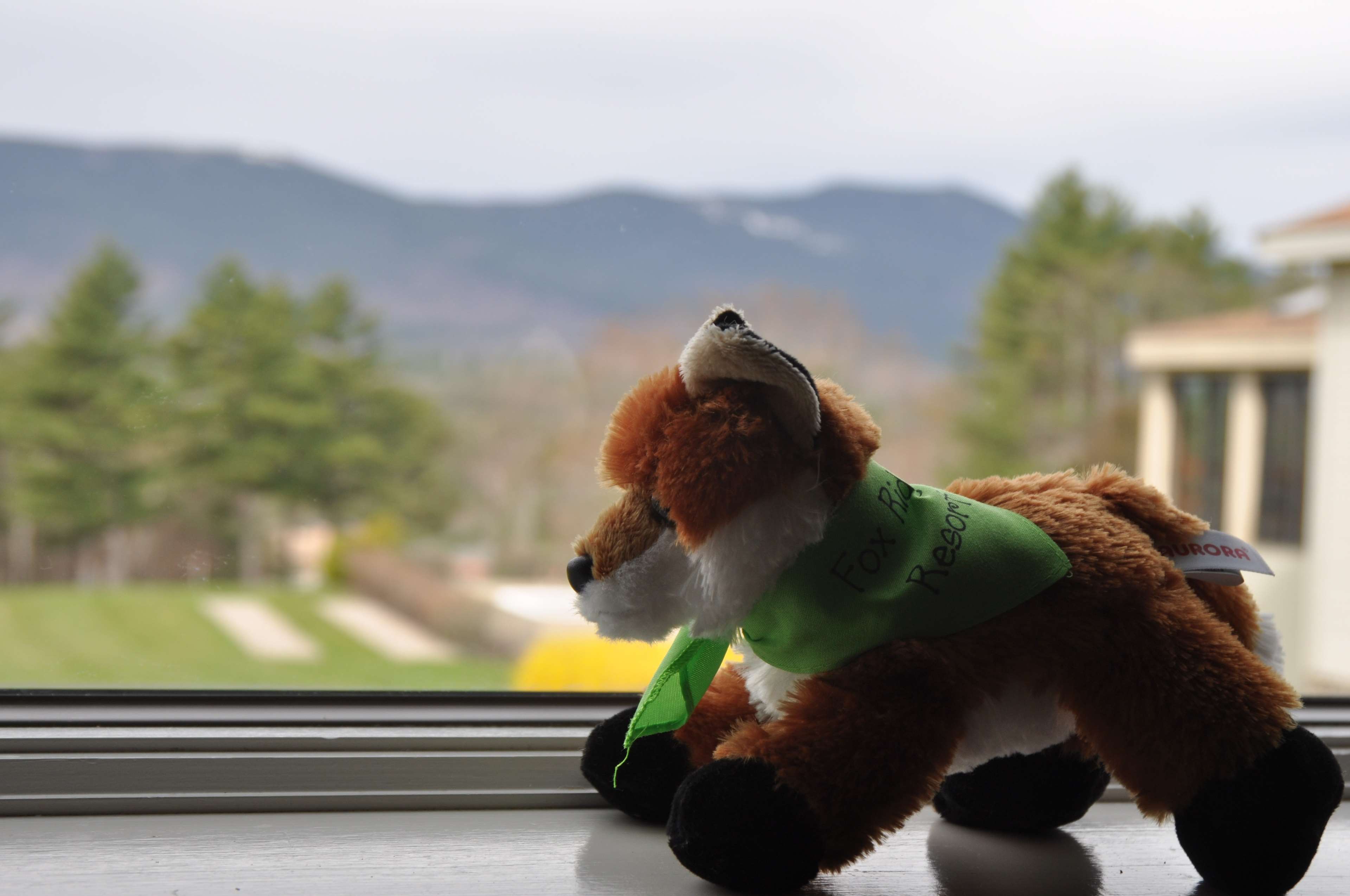 Fox Ridge Resort