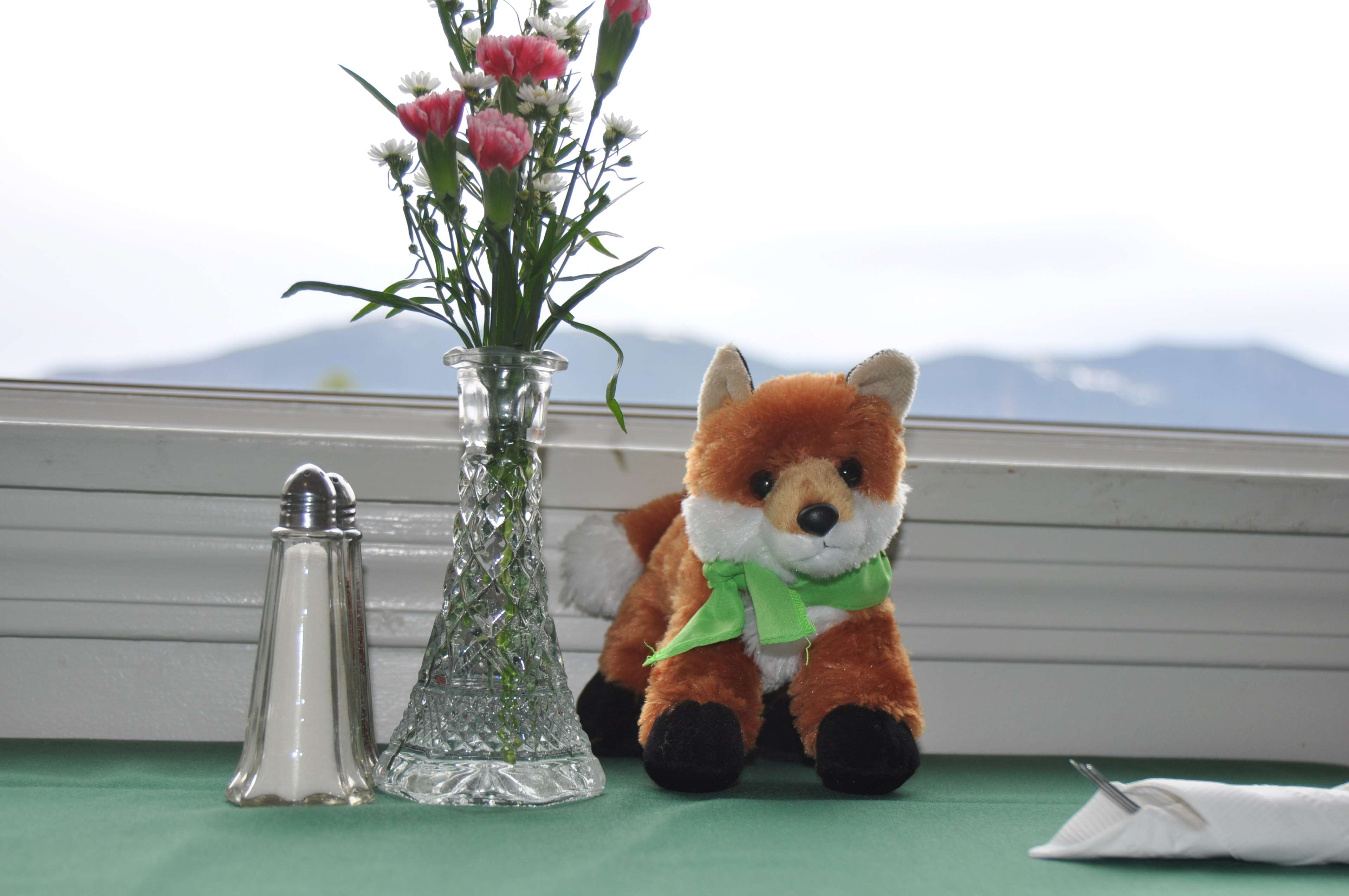 Fox Ridge Resort